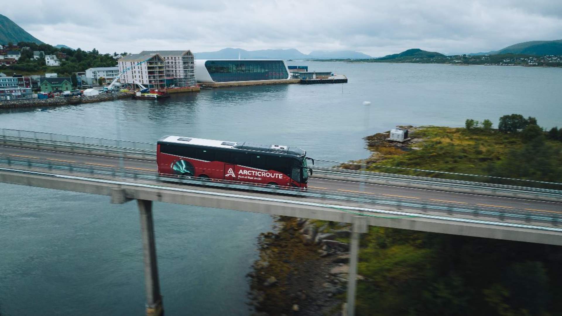 Whale-Watching at Andenes from Svolvær with Arctic Route