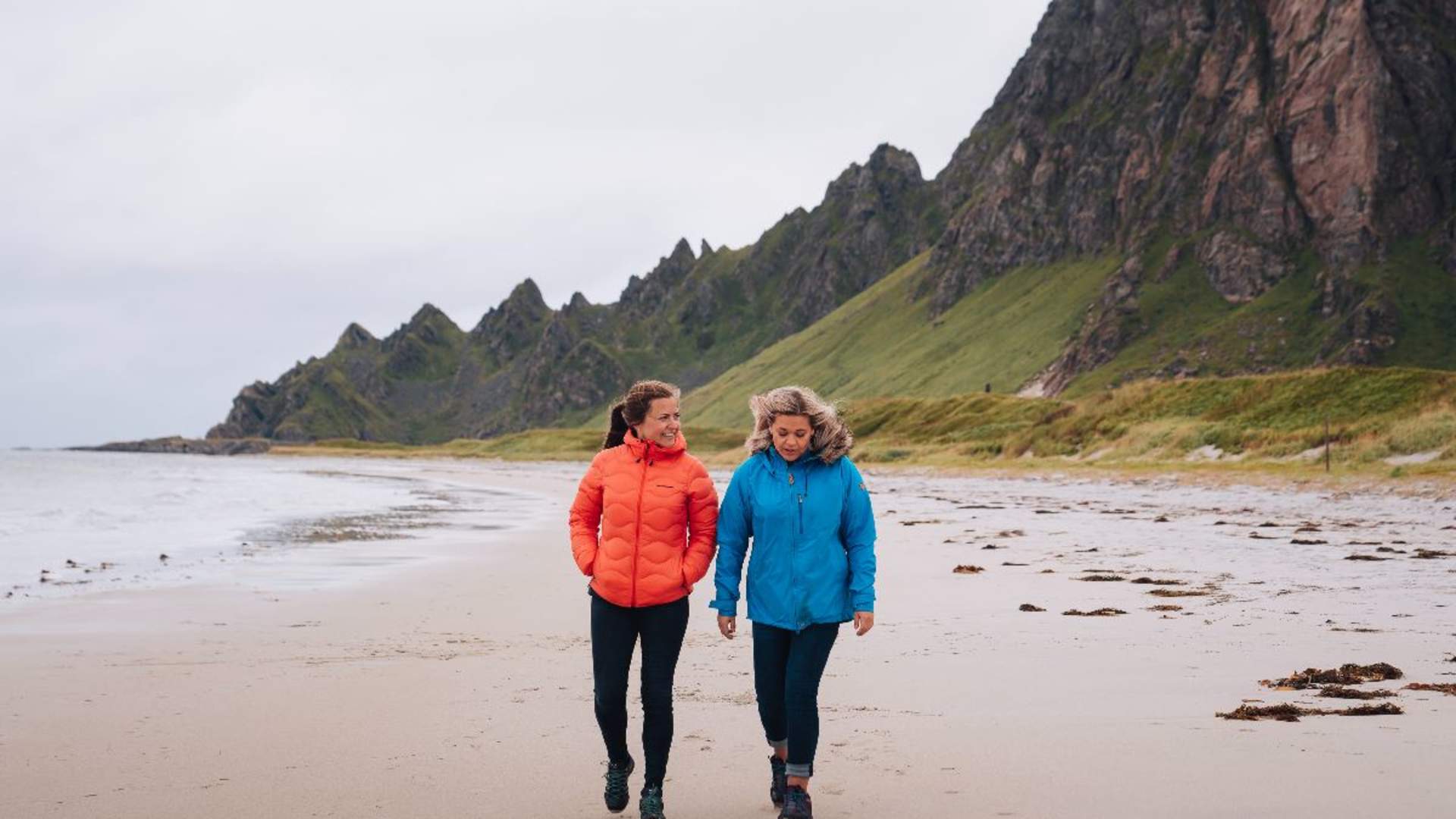 Whale-Watching at Andenes from Svolvær with Arctic Route