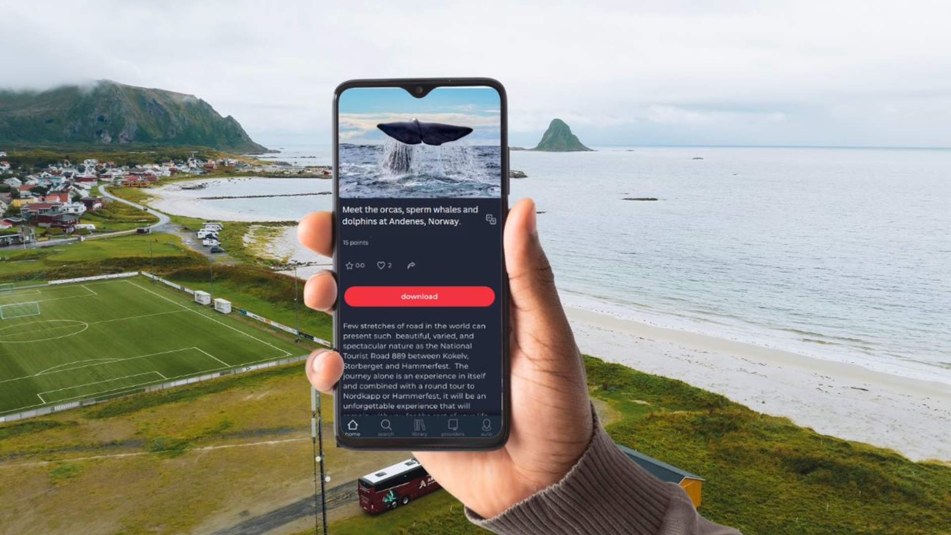 Whale-Watching at Andenes from Svolvær with Arctic Route