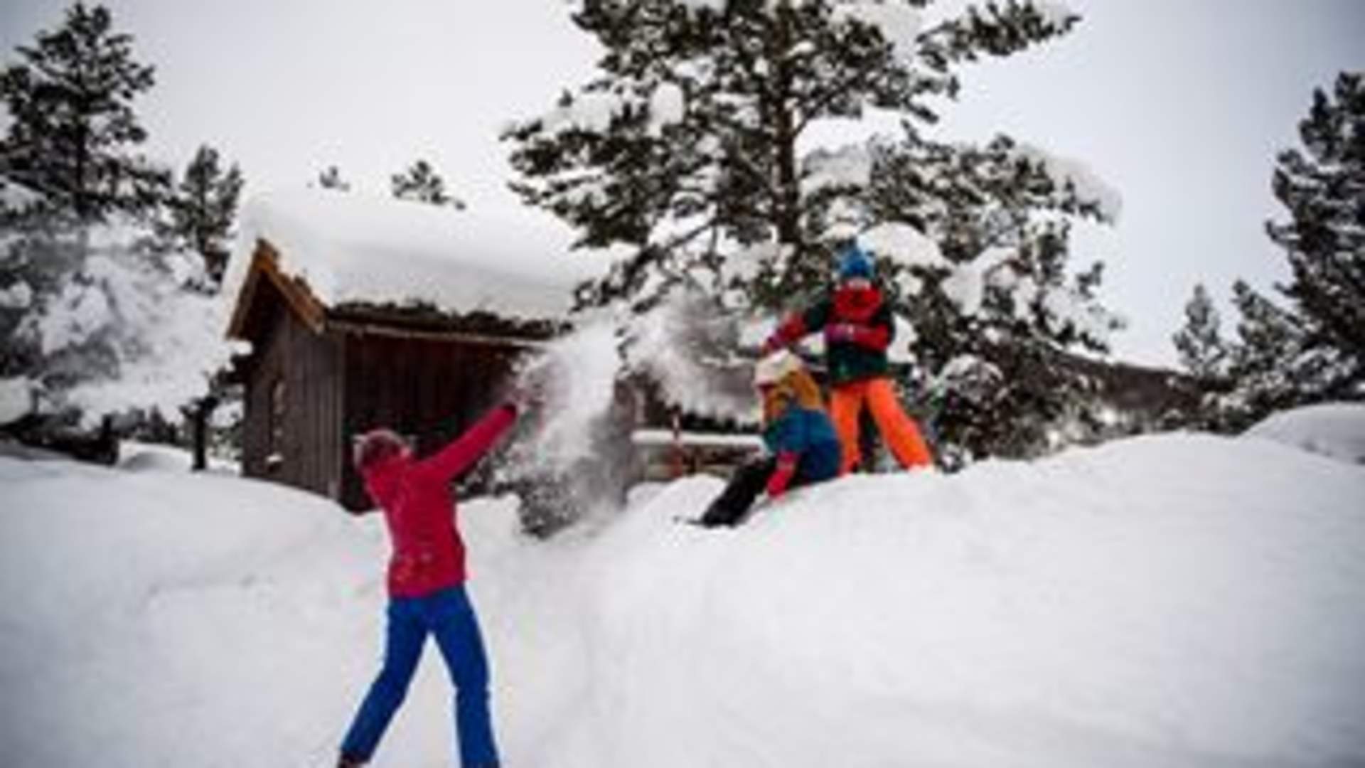 Lemonsjø Fjellstue & Hyttegrend