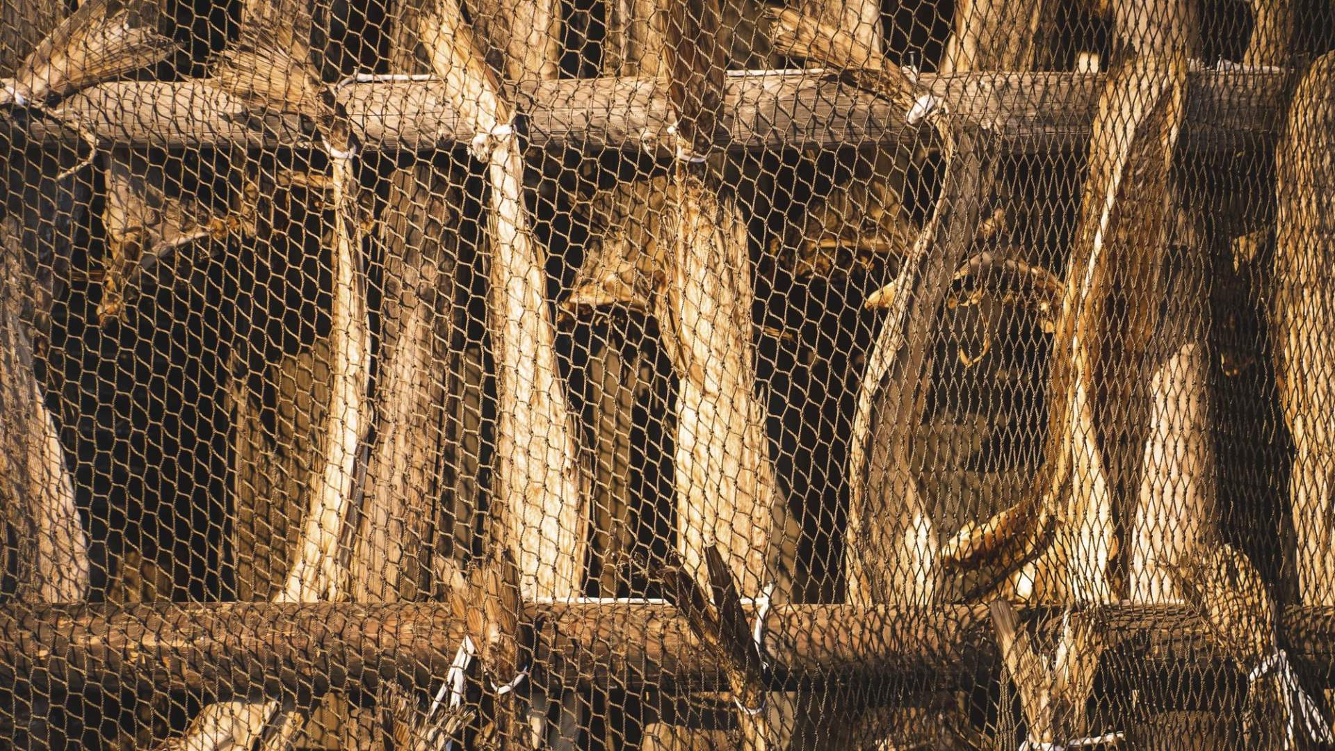 Restaurant Gammelbutikken - autentisk lokal sjømat