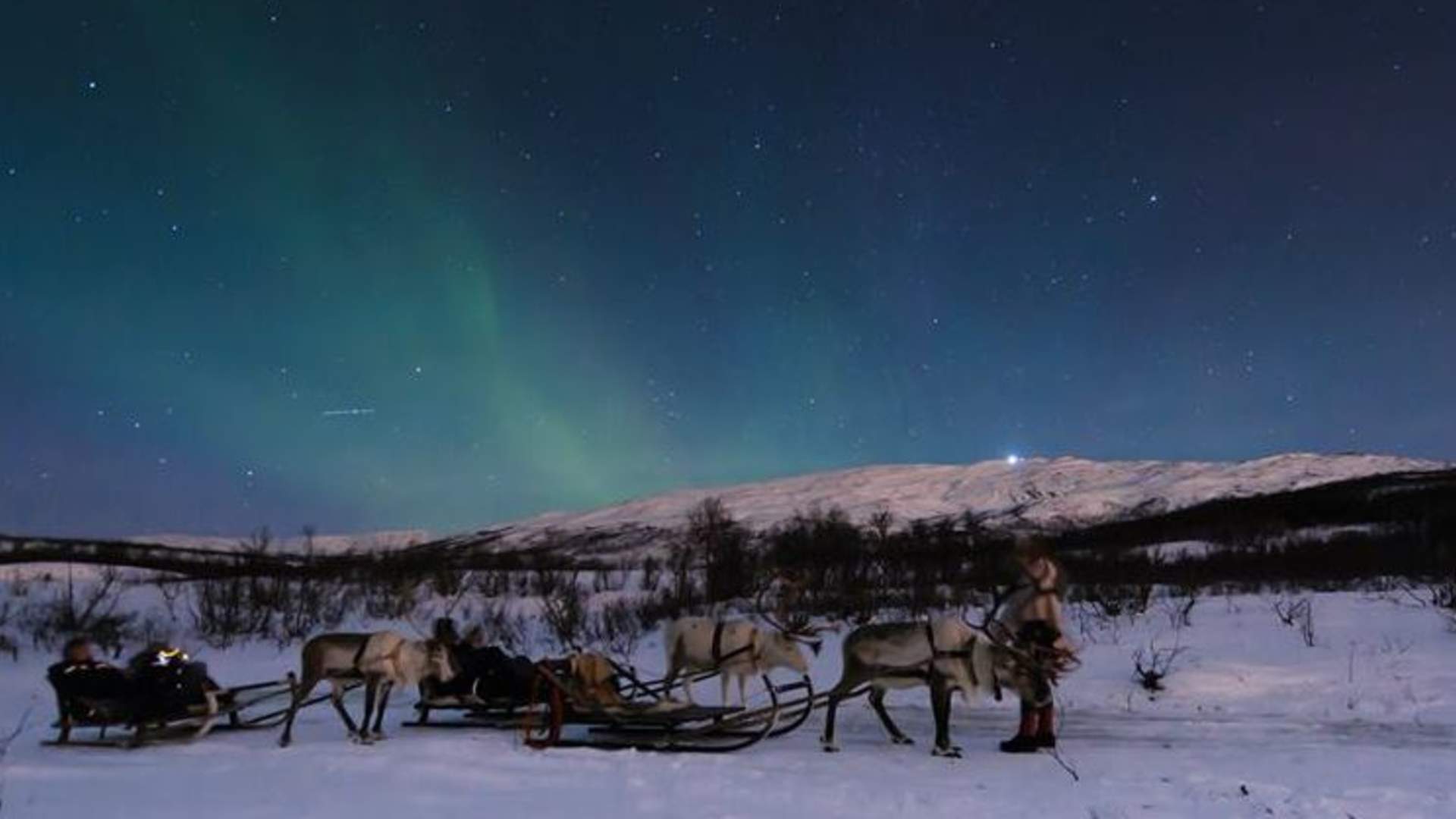 Reinsledekjøring og Nordlys