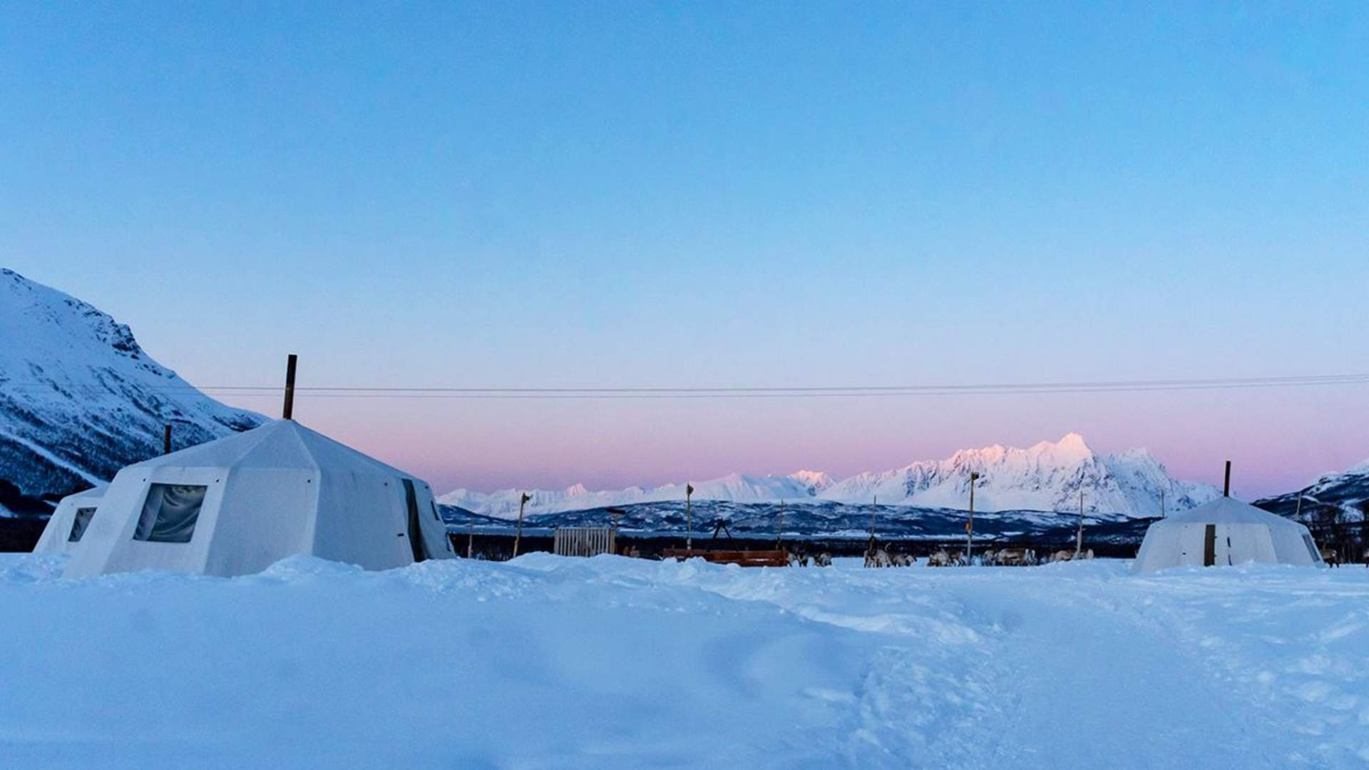 Overnatting I Lavvo, Reinsdyrmating og Reinsledekjøring med Nordlys