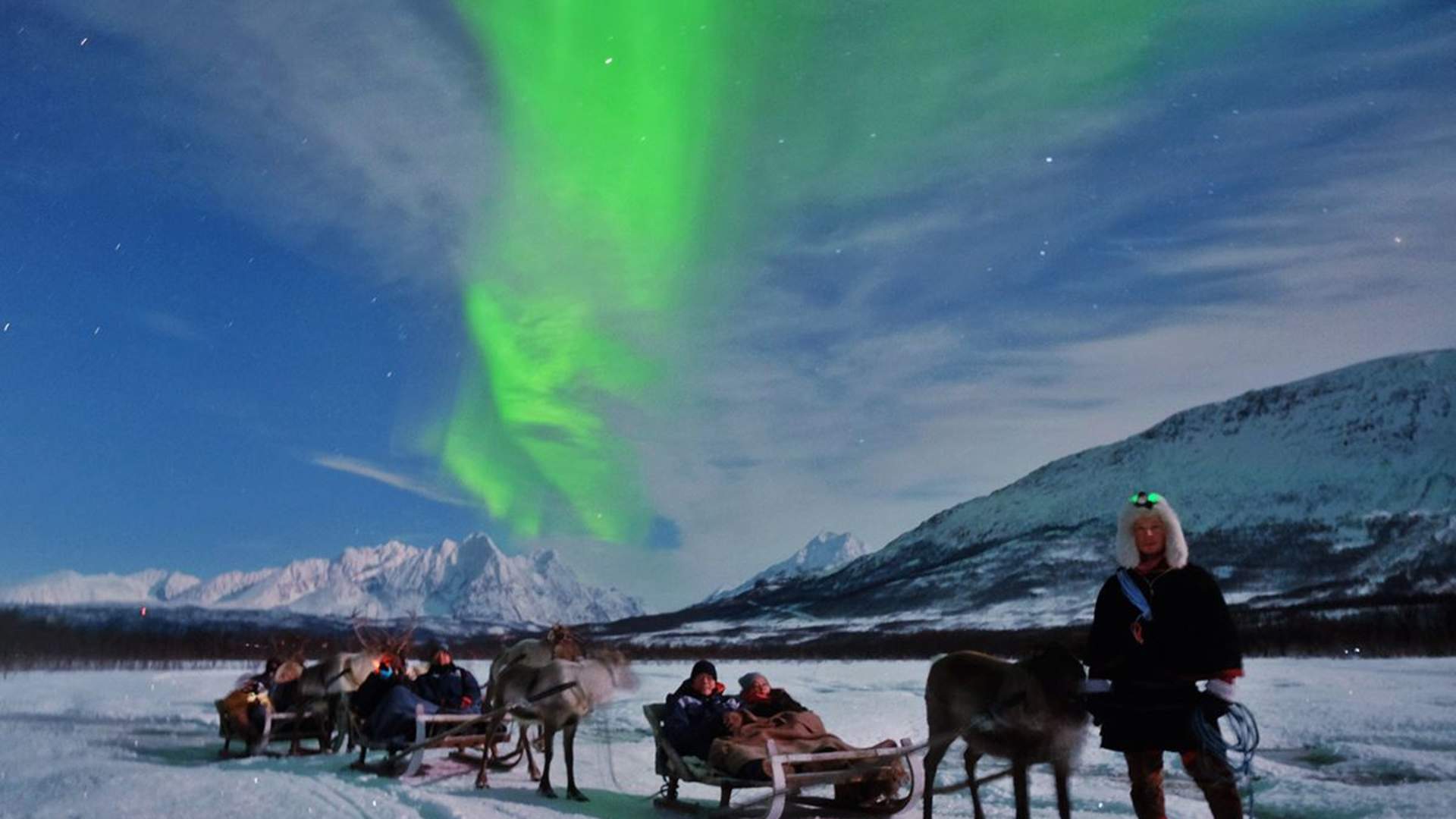 Overnatting I Lavvo, Reinsdyrmating og Reinsledekjøring med Nordlys