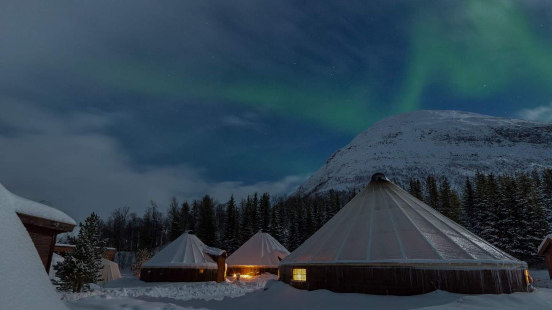 Northern Lights Visit - Excl. Transport