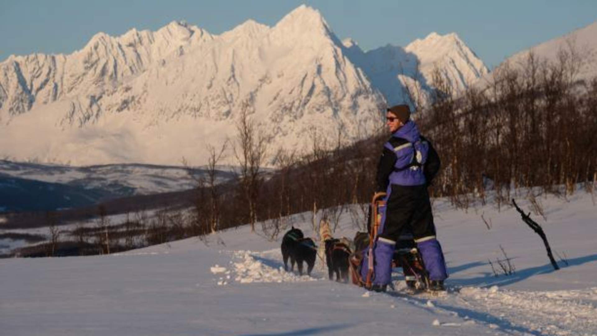 Tromsø Dog Sledding - afternoon