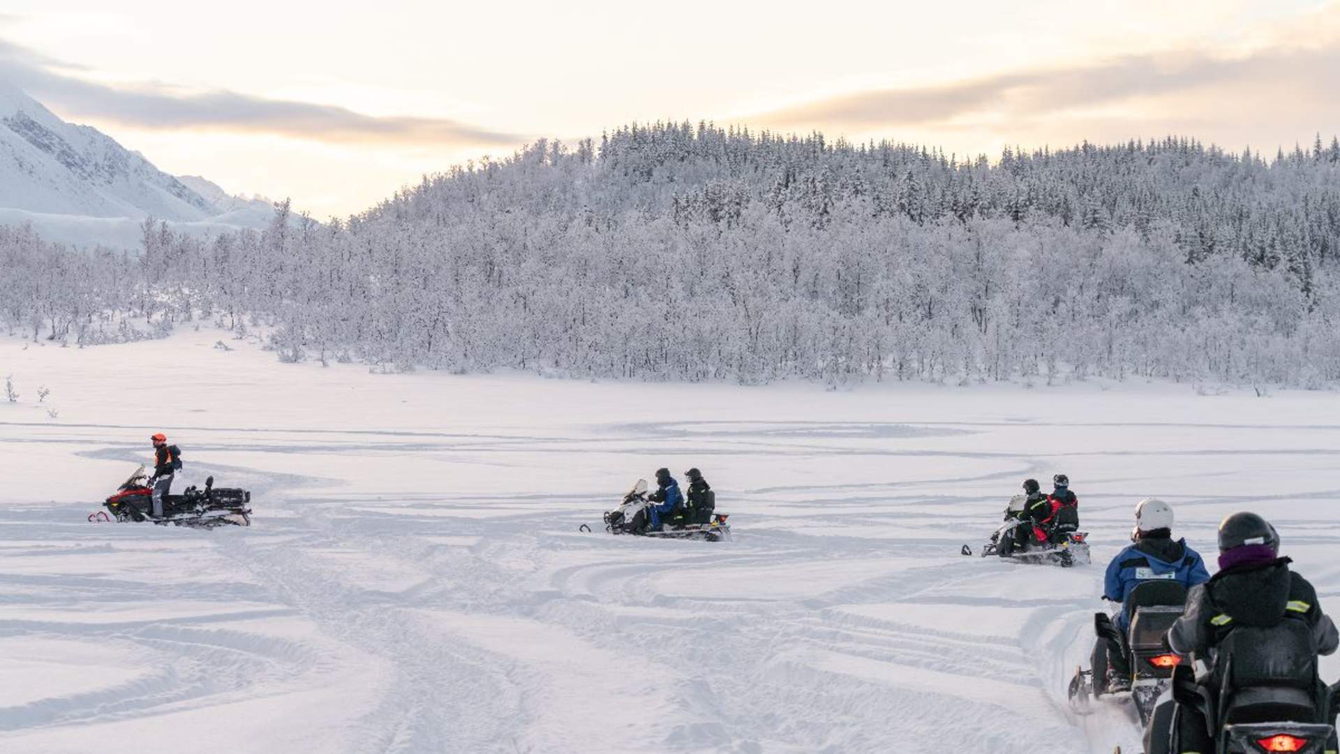 Lyngen Snowmobile Safari