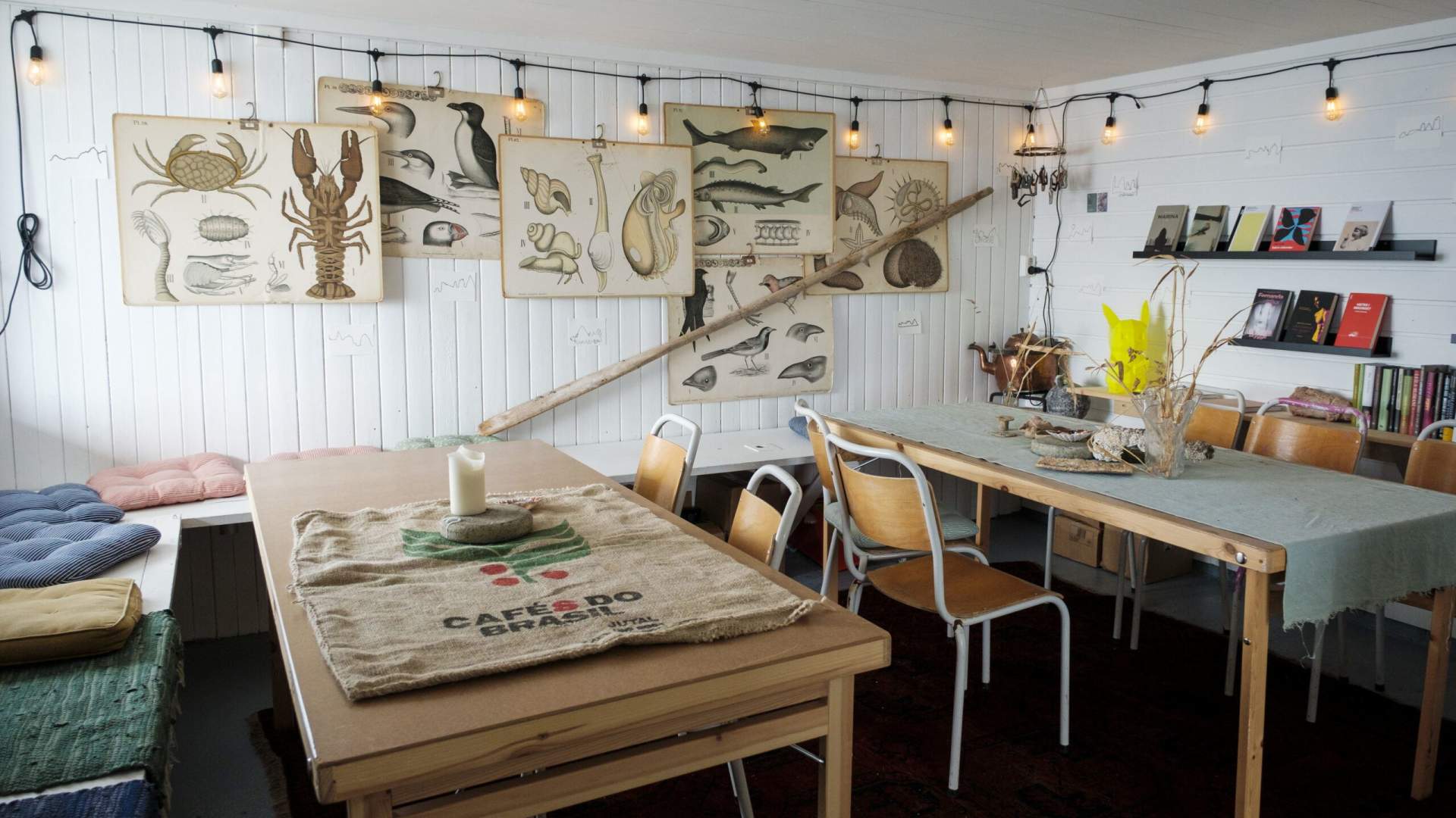 Charming coffee bar in Træna