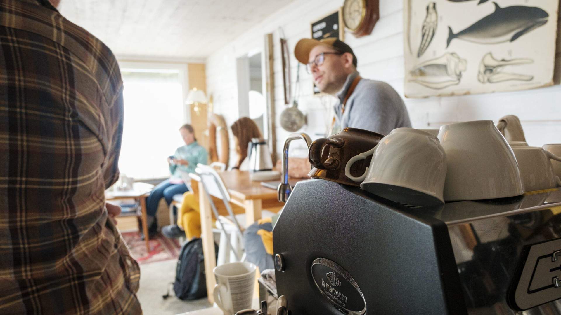 Charming coffee bar in Træna