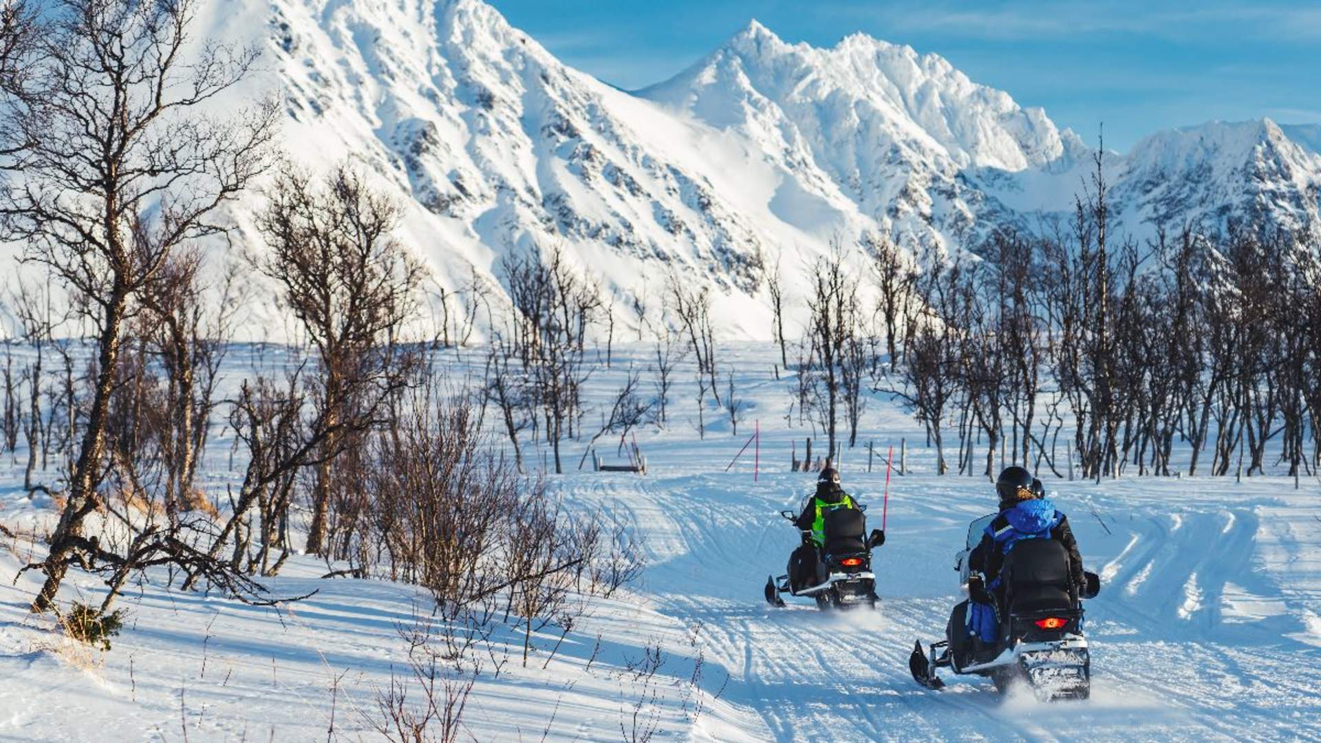 Snøskutersafari i vakre Lyngsalpene - XLyngen