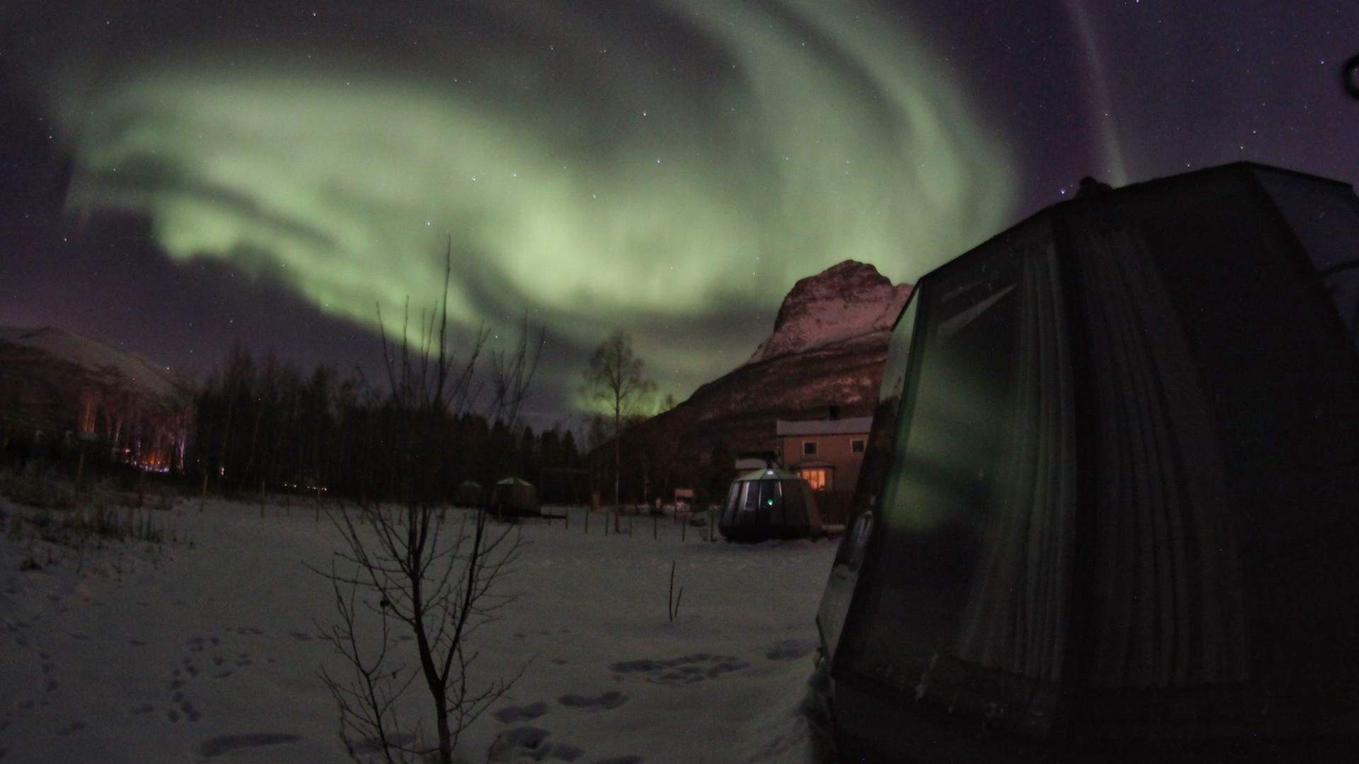 Overnight experience in glass igloo