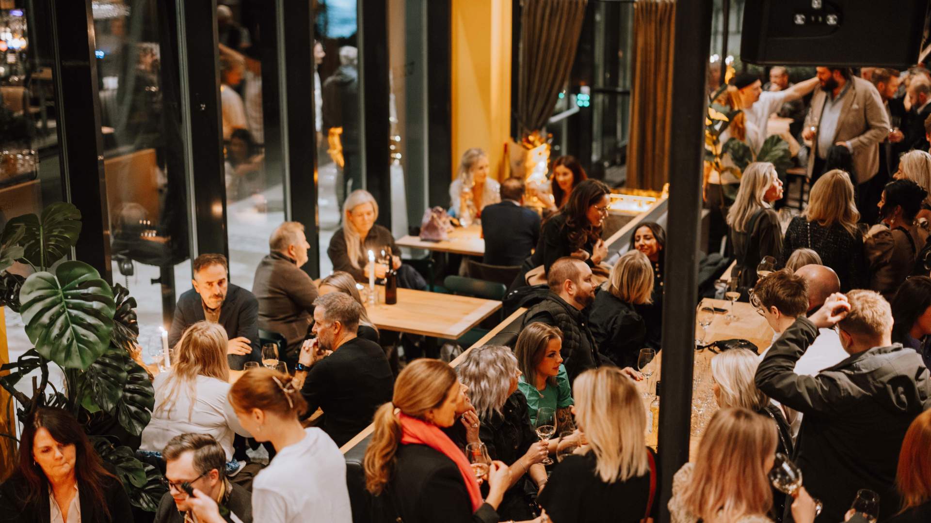 Txaba - Tapas + Wine bar