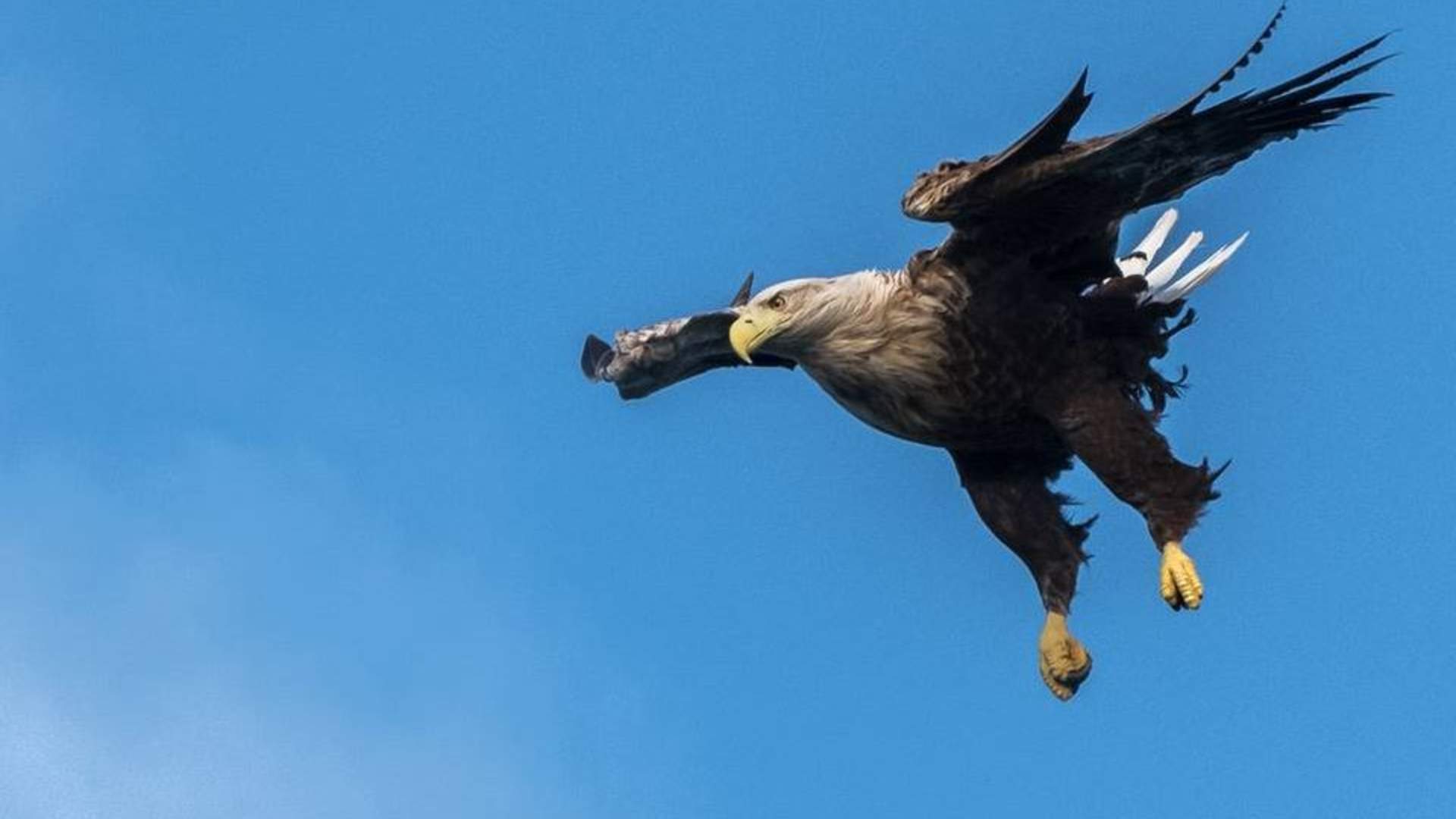 Birds- and wildlife tour - Explore 70 Degrees