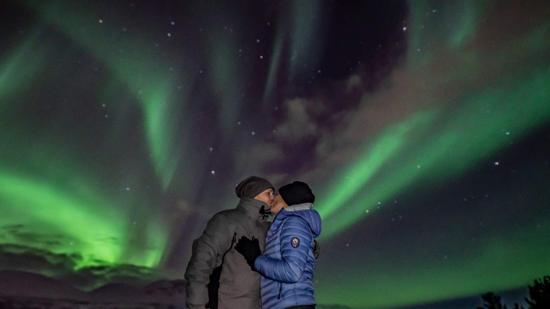 Aurora Safari Minibuss