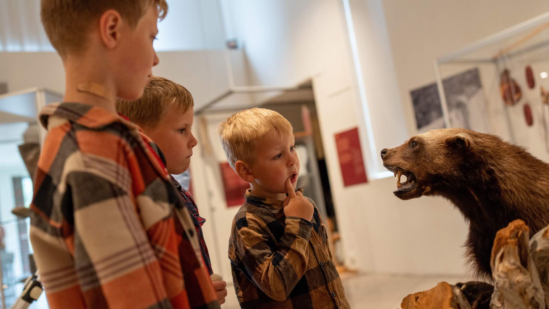 Nordfjord Museum of Cultural History &#8211; A Nordfjord Journey Through Time