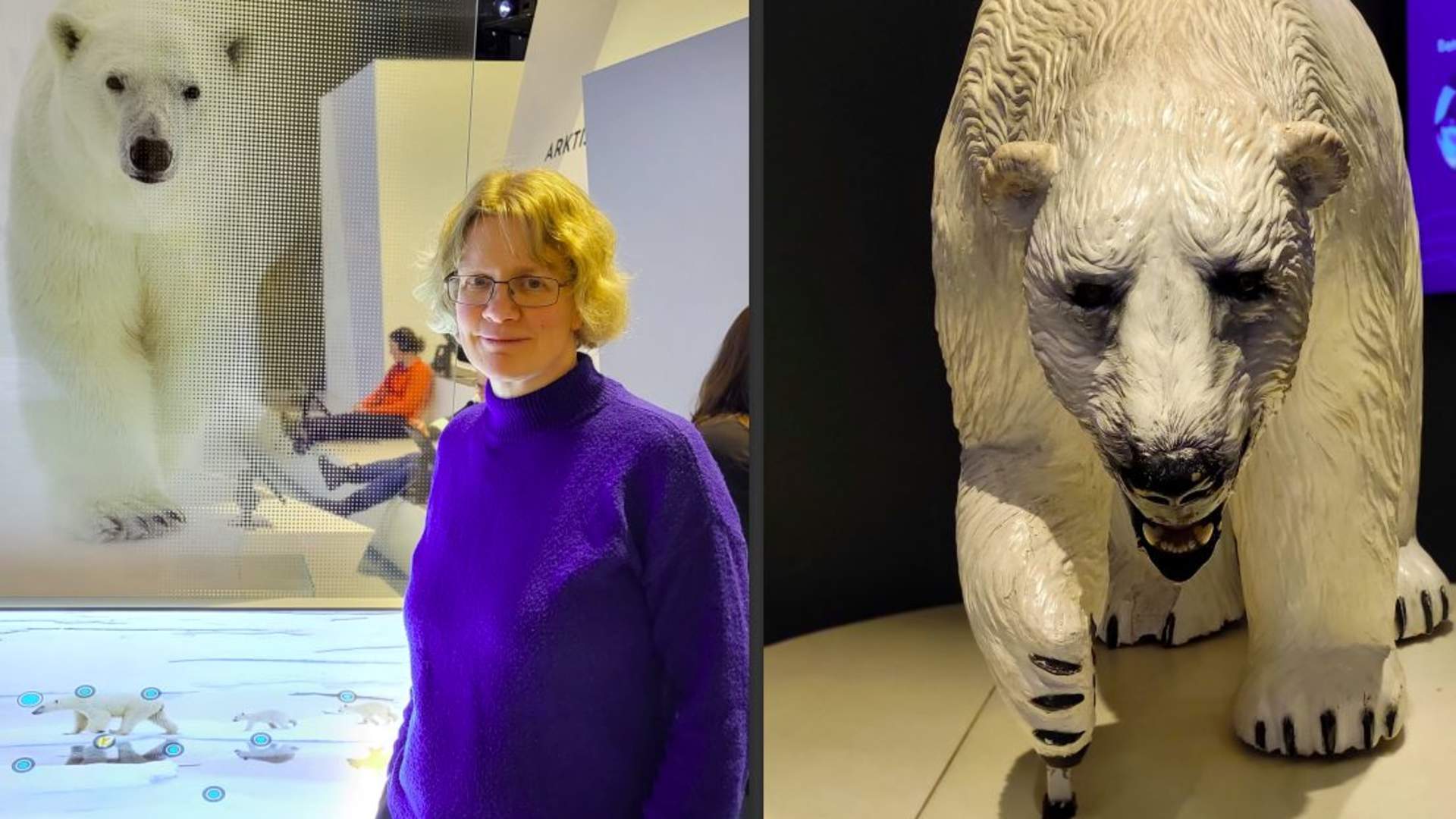 Introduction to Tromsø - Polar bear discovery walk