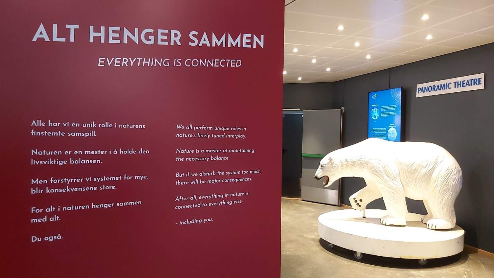 Introduction to Tromsø - Polar bear discovery walk