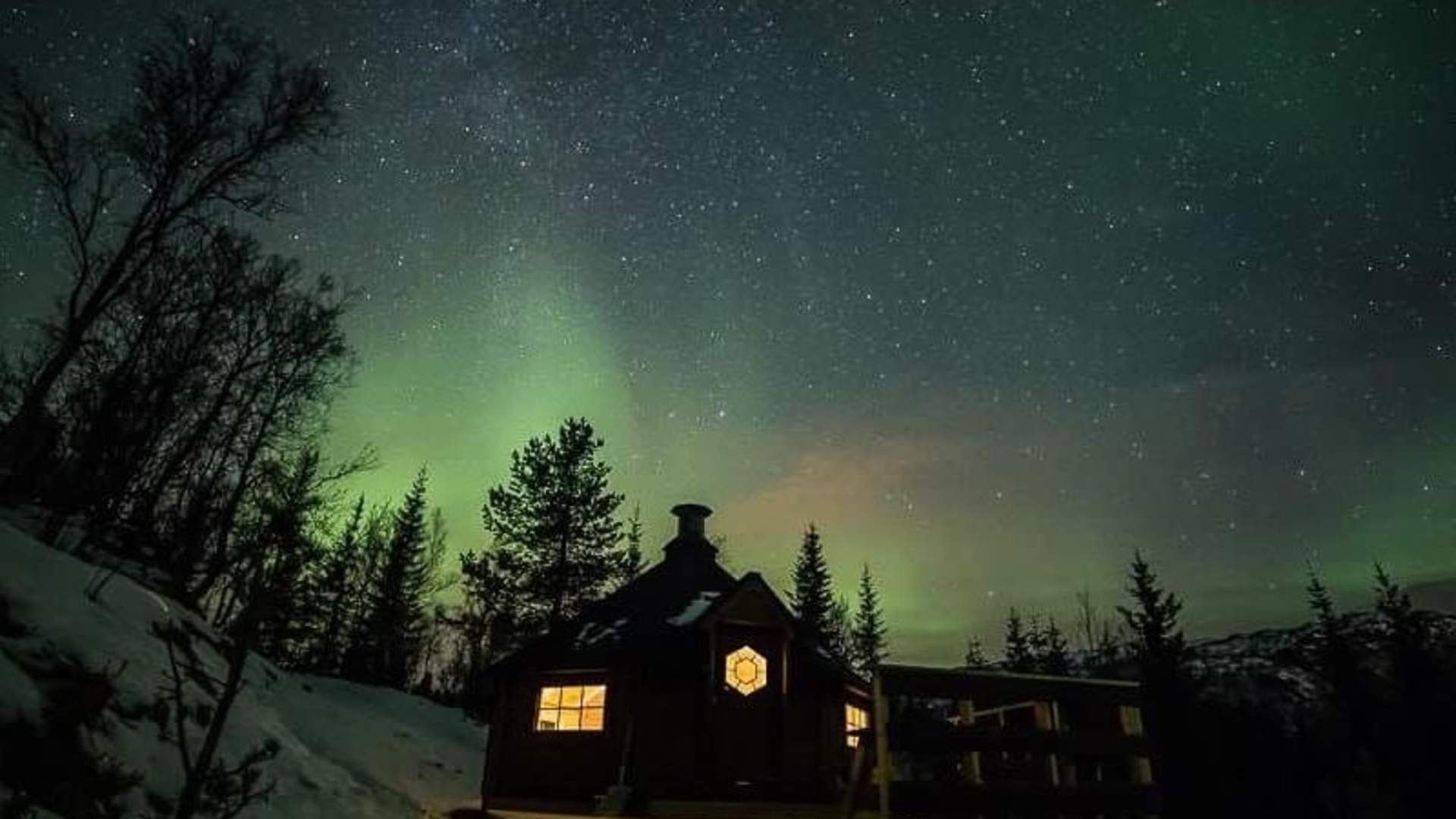 Arktisk skogseventyr på Elvegård