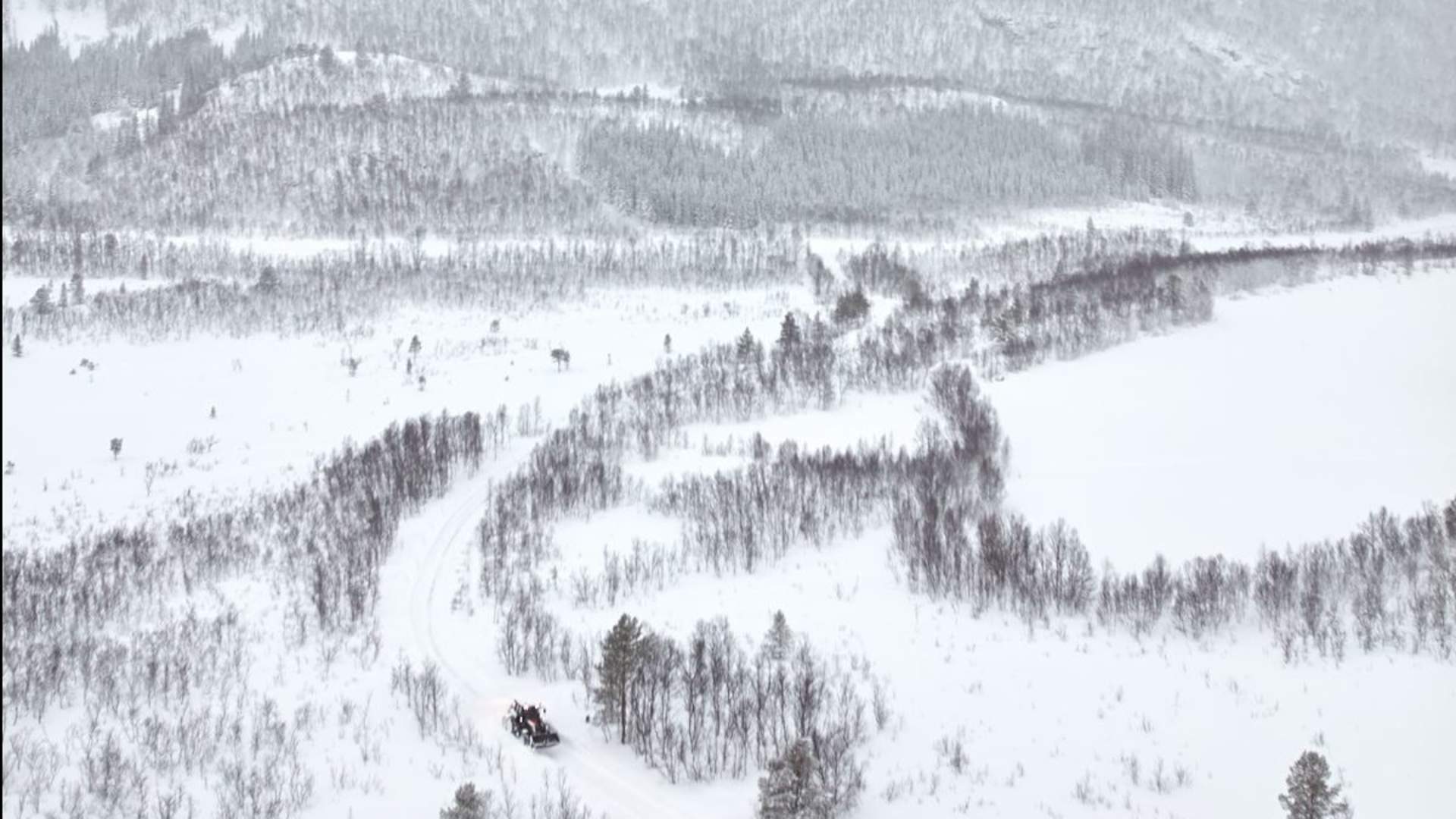 Arktisk skogseventyr på Elvegård