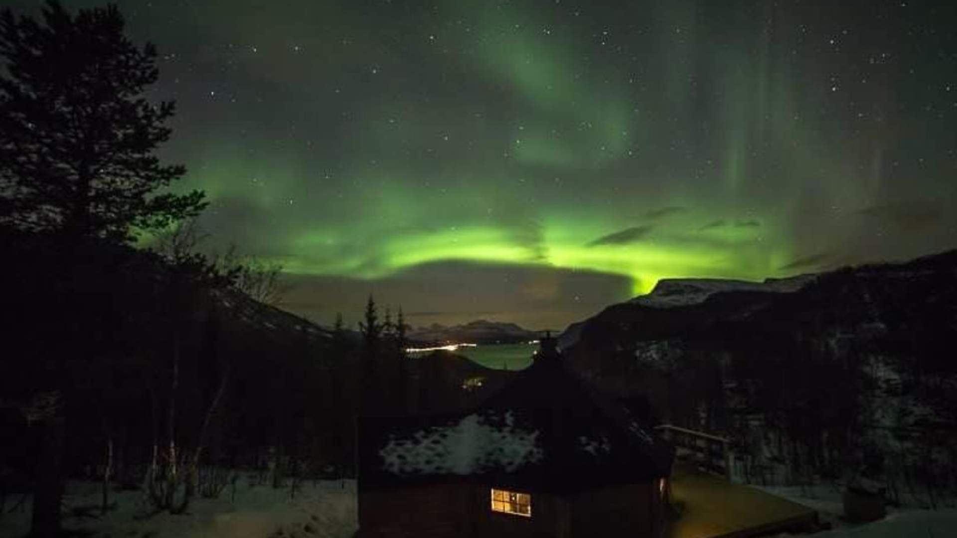 Arktisk skogseventyr på Elvegård