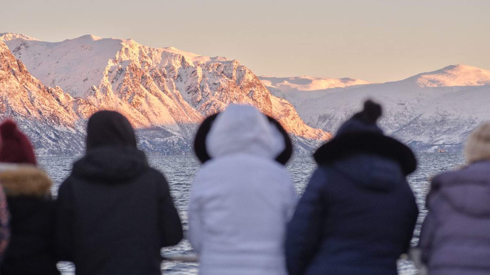 Arktisk Fjordcruise fra Tromsø