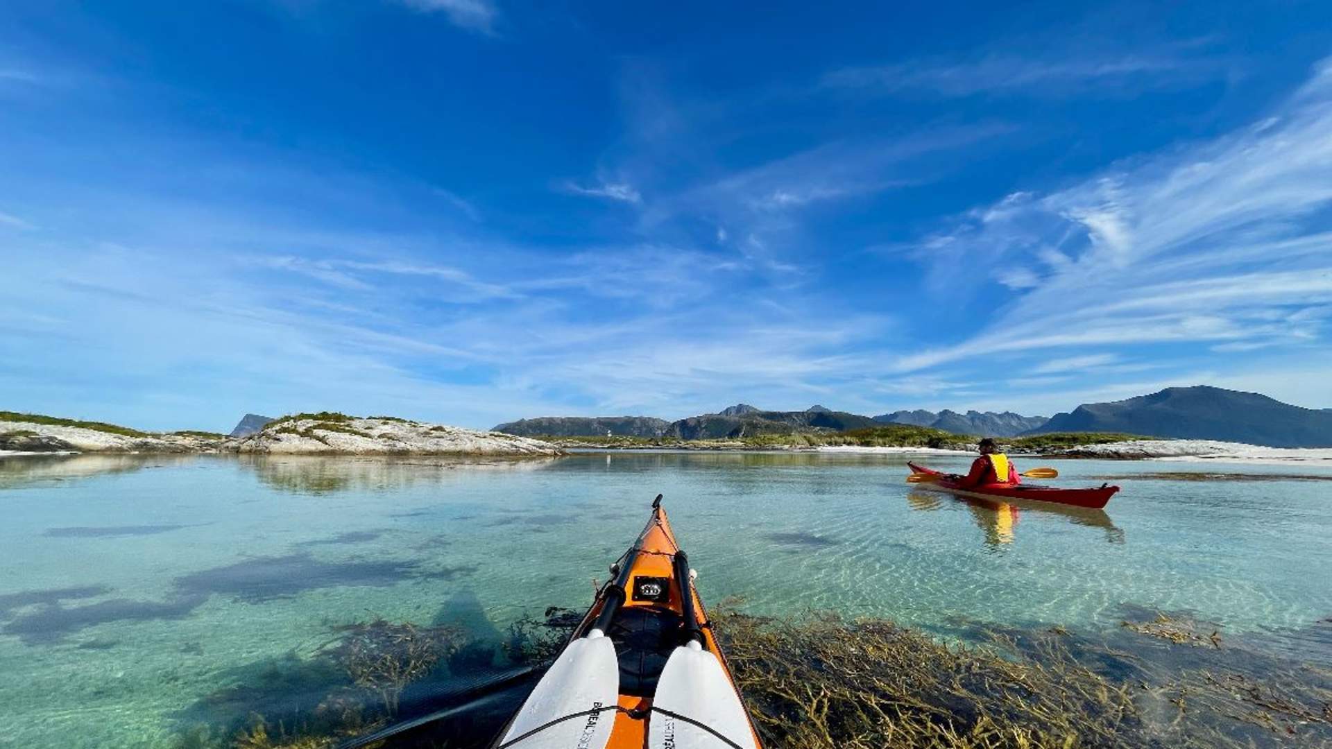 Kajakktur med lunsj og badstue på Sommarøy, fra Tromsø, med Arctic Route