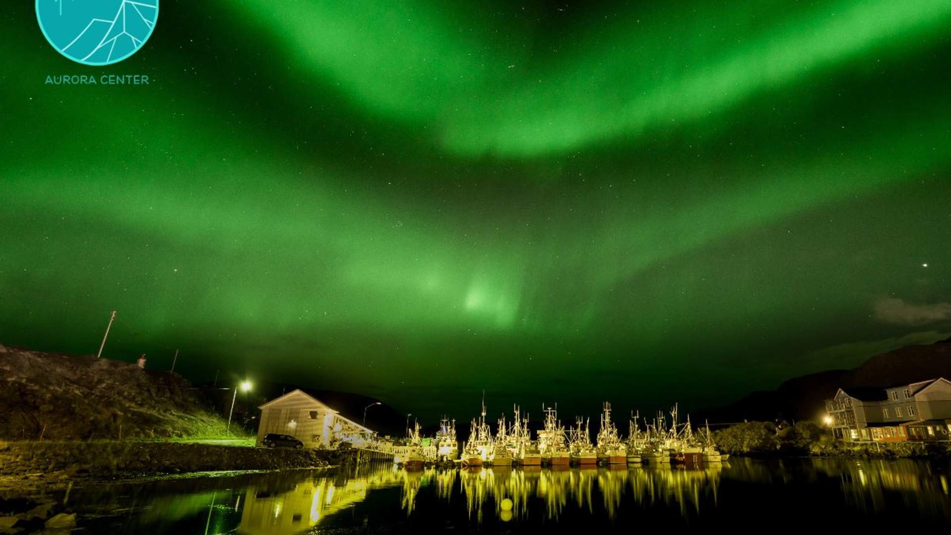 The Aurora Show