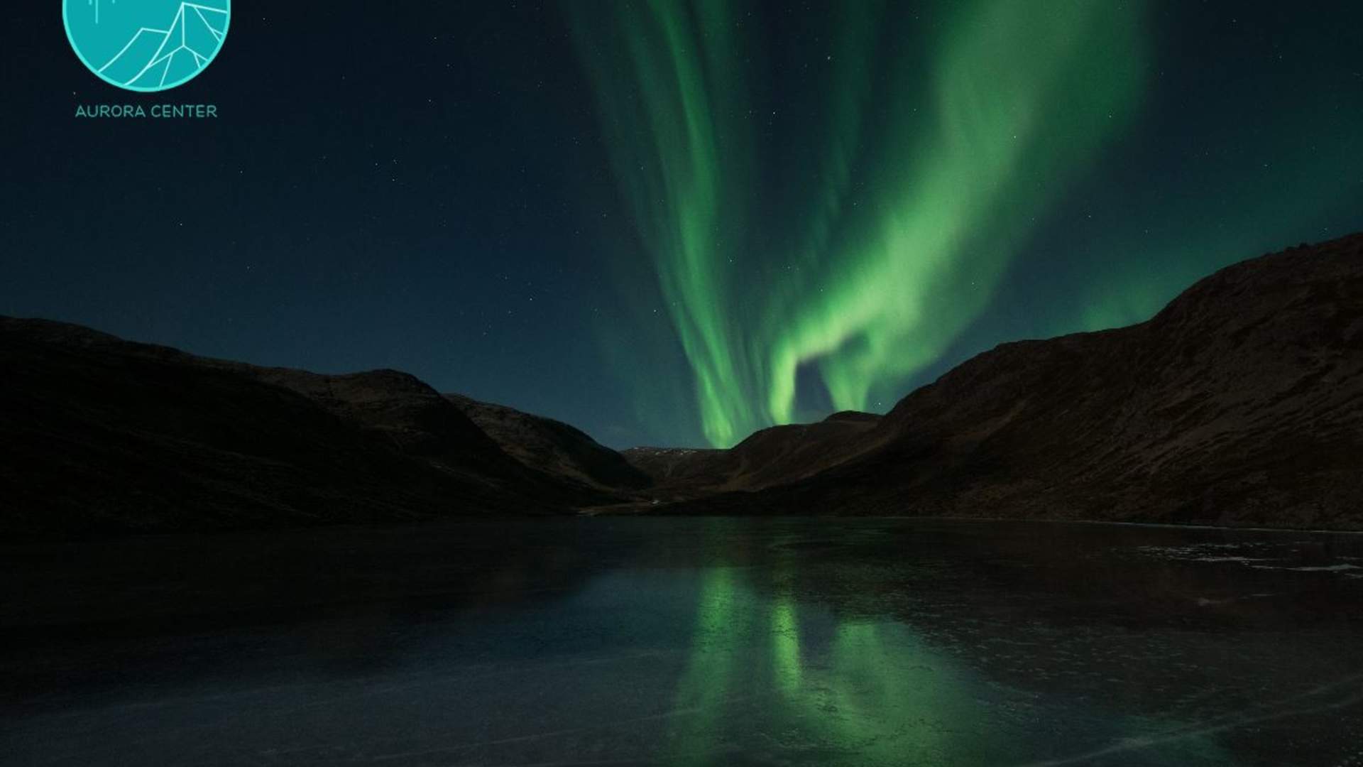 The Aurora Show