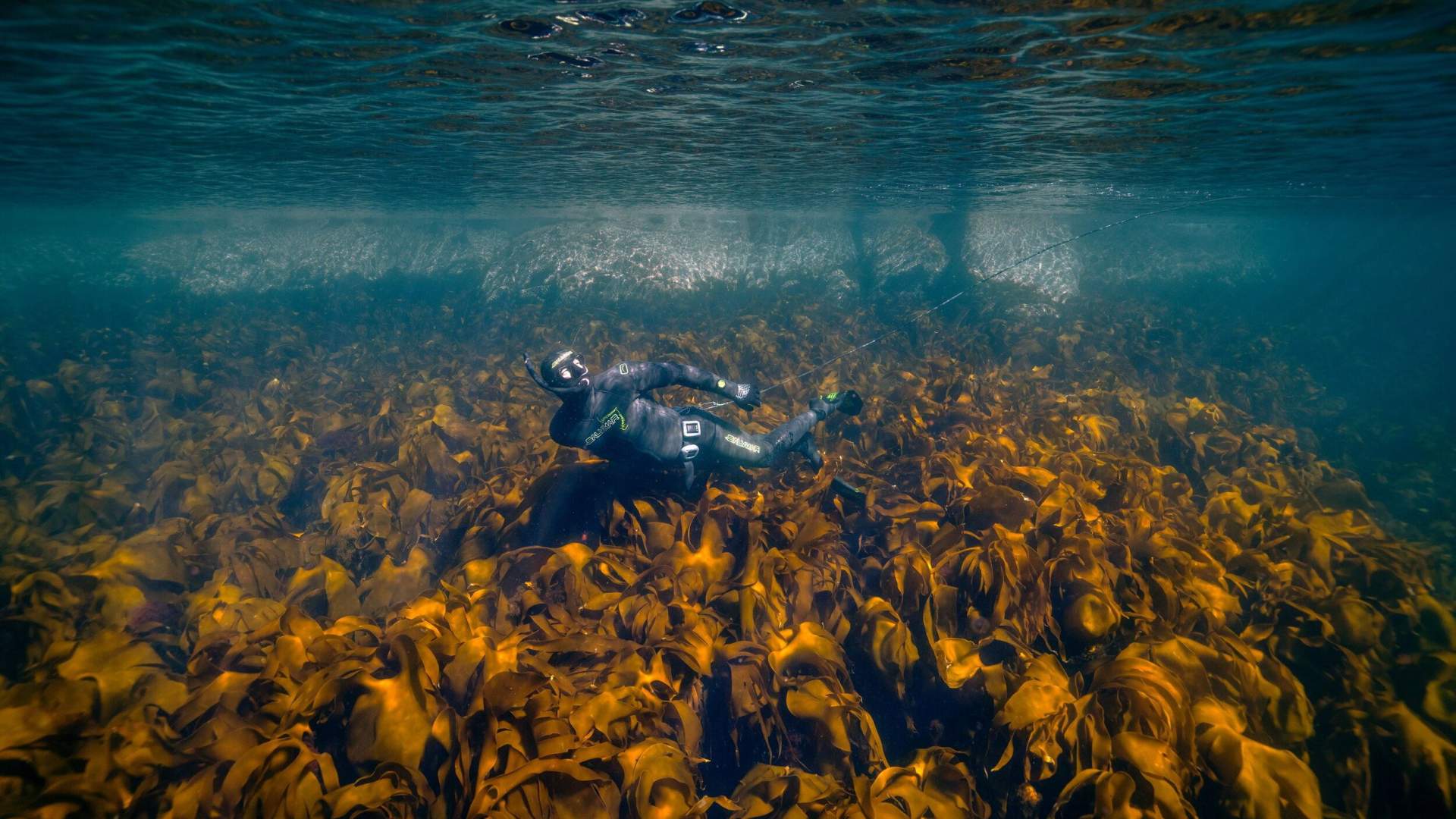 Nyksund Arctic Ocean Adventures