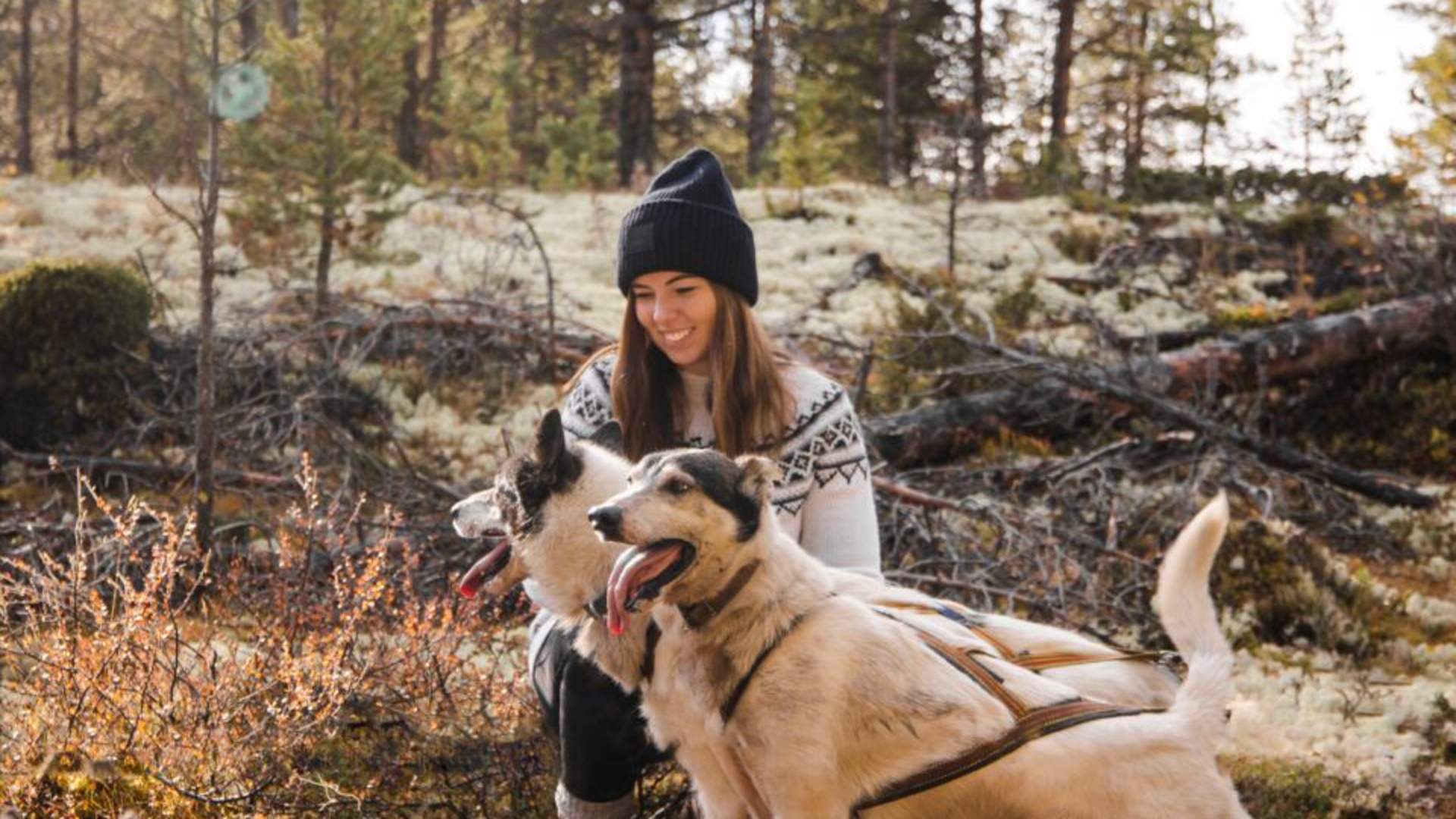 Sjodalen Hyttetun - Hundekjøring sommer