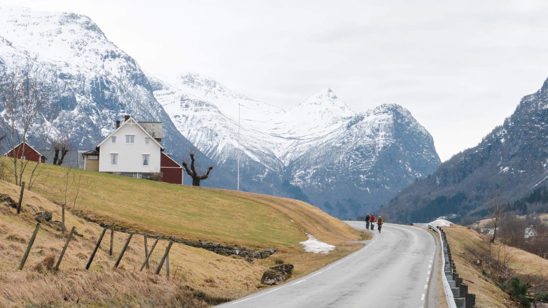 Guided e-bike tour in Olden | Nordic nature guide