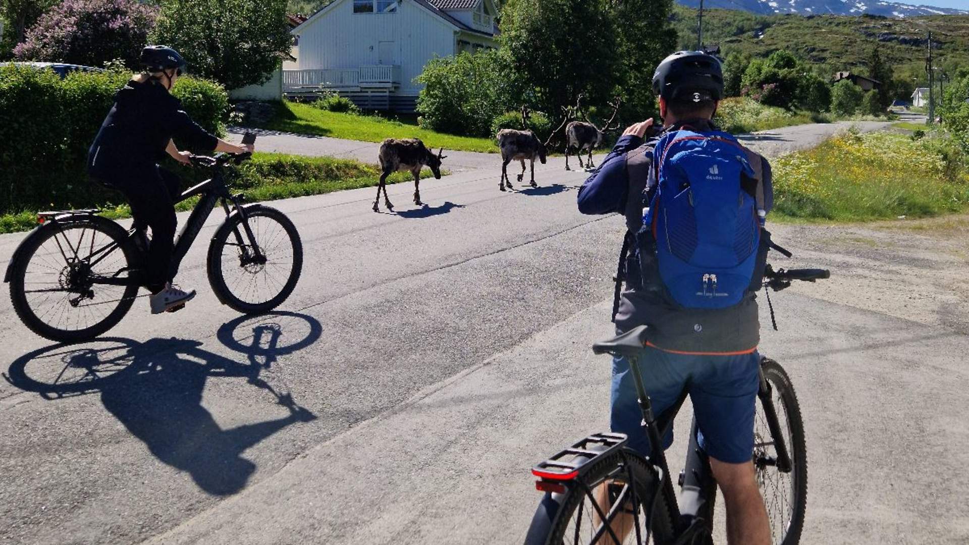 Fjord sightseeing with E-bike