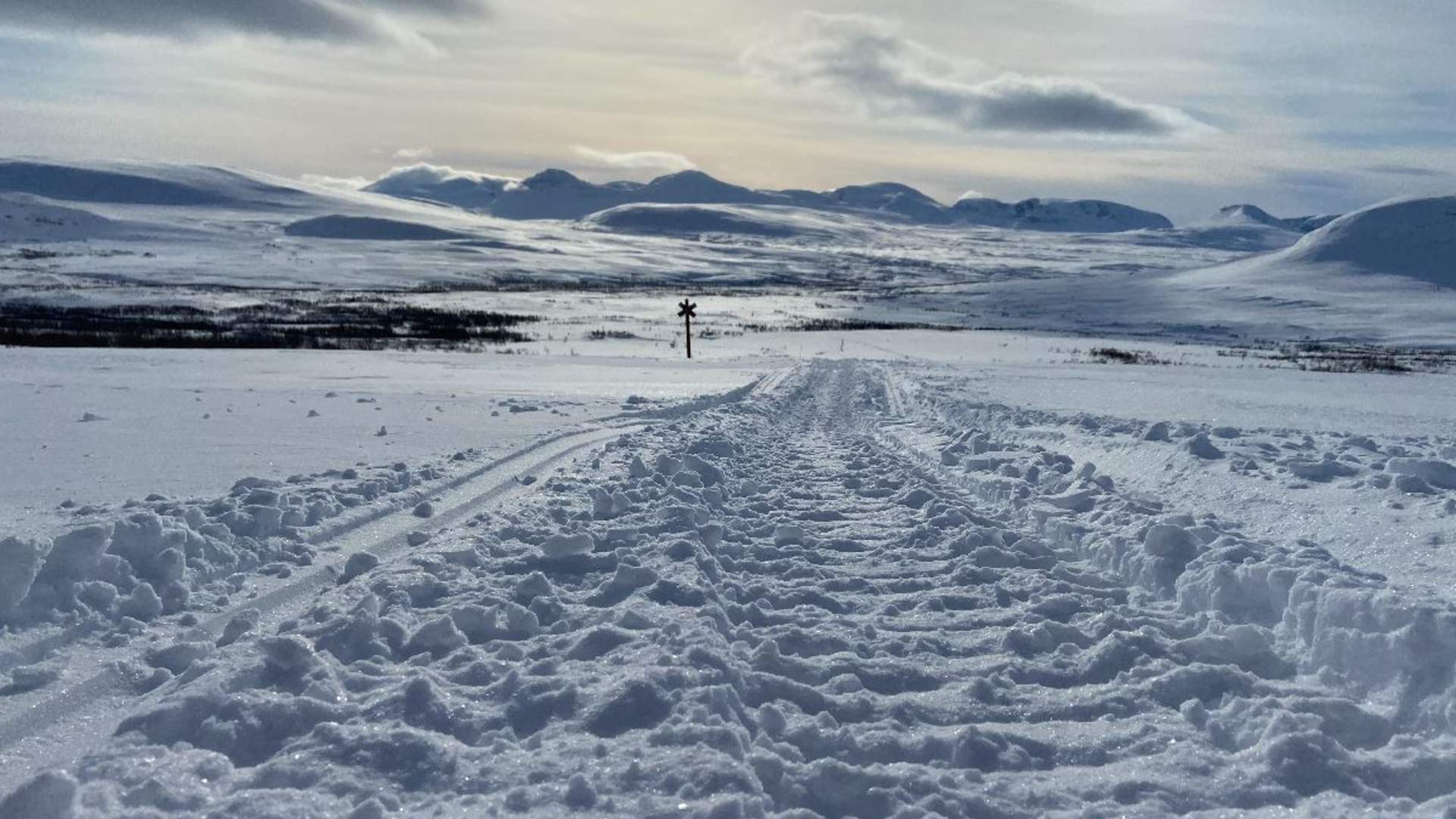 A Snowmobile excursion into the wilderness - daytime tour with North Experience