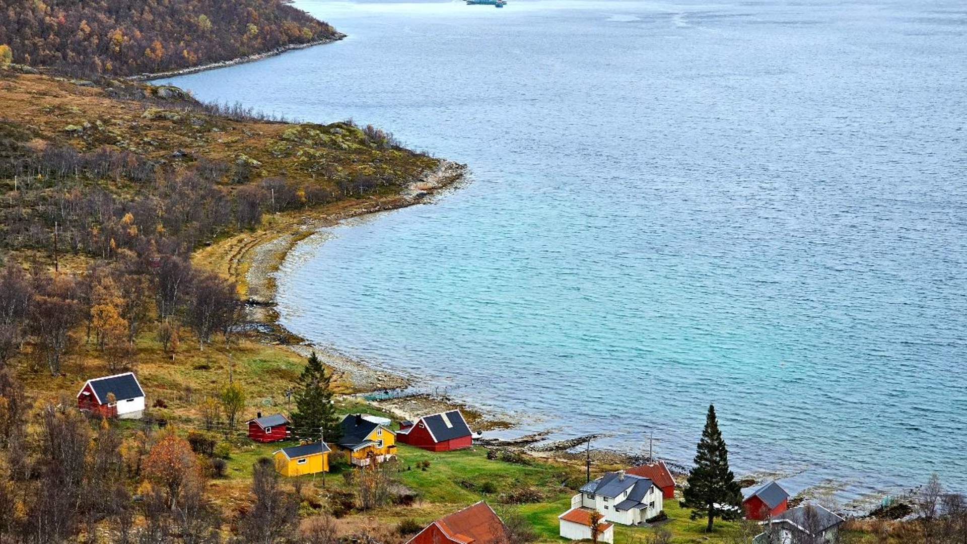 Arktisk Fjord sightseeing med bil