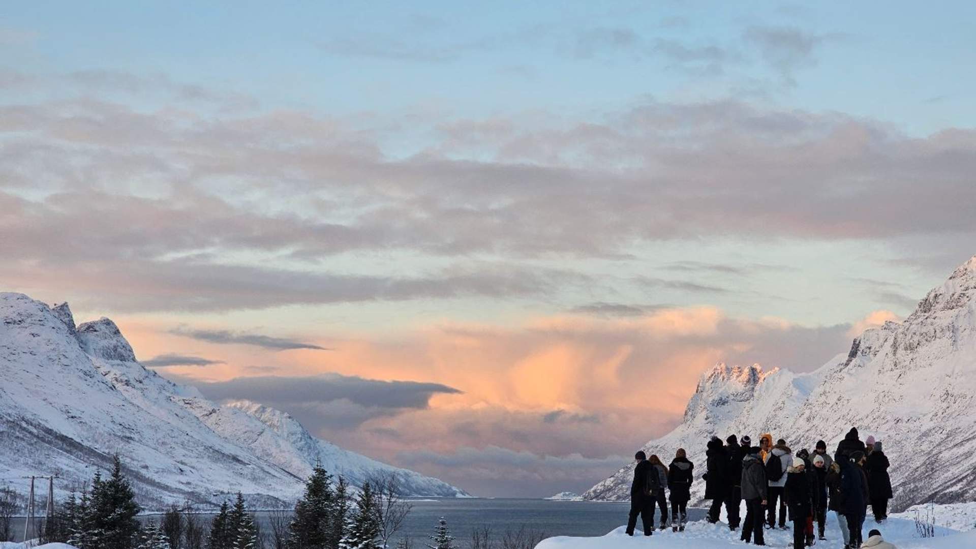 Arktisk Fjord sightseeing med bil