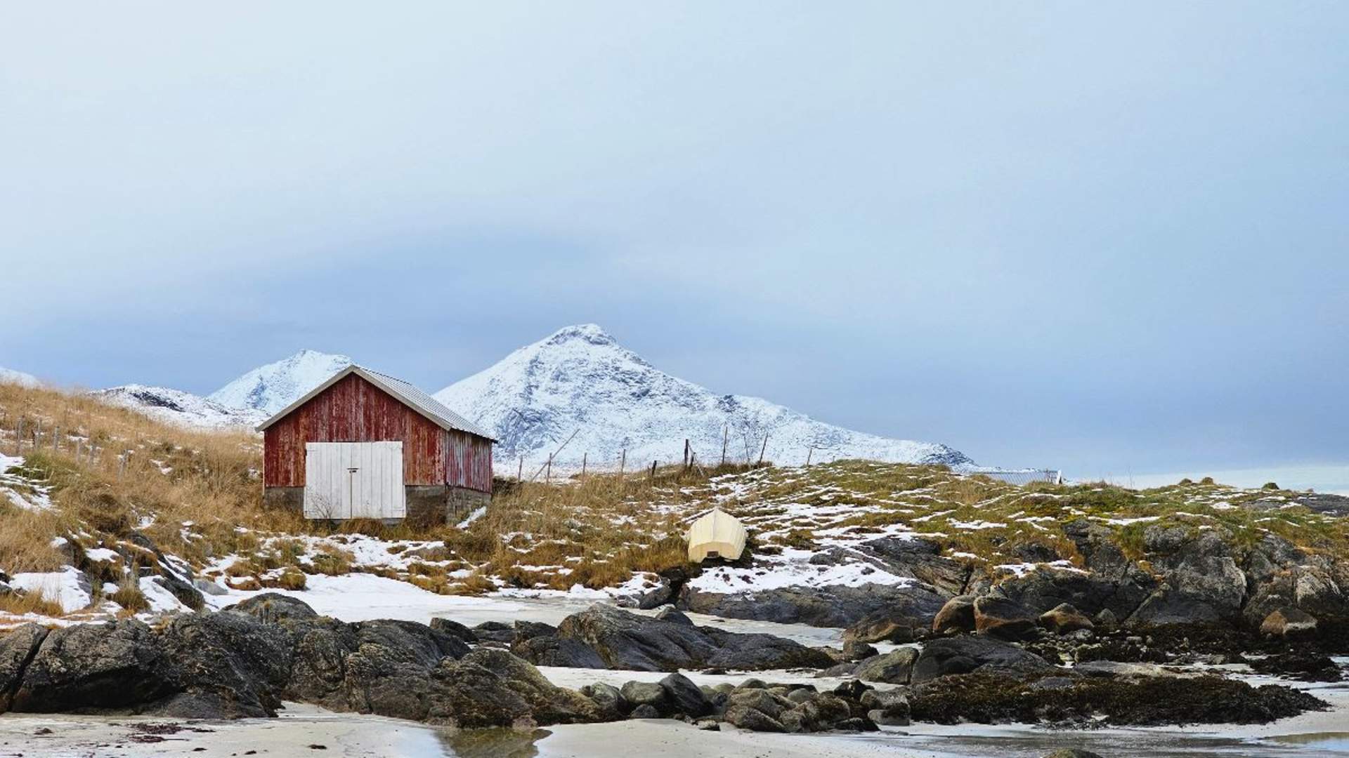 Arktisk Fjord sightseeing med bil