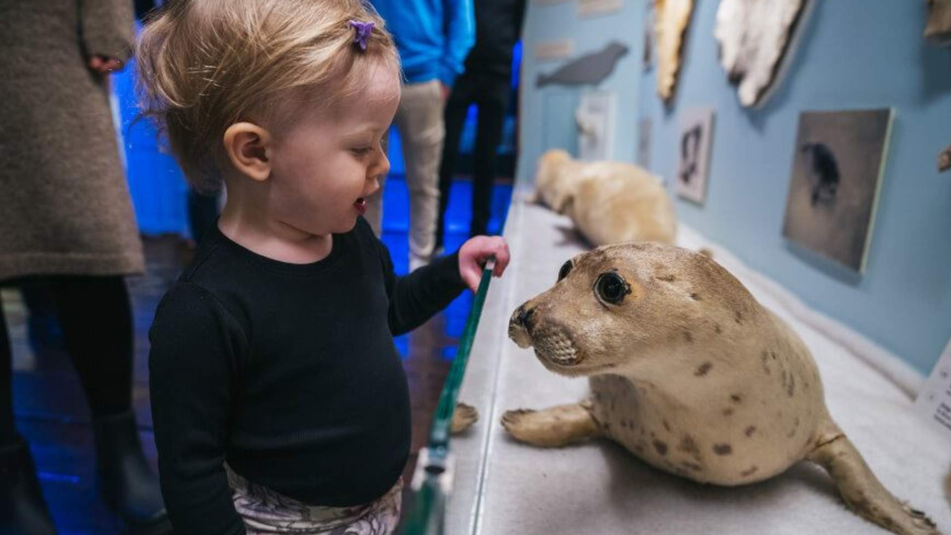 The Polar Museum