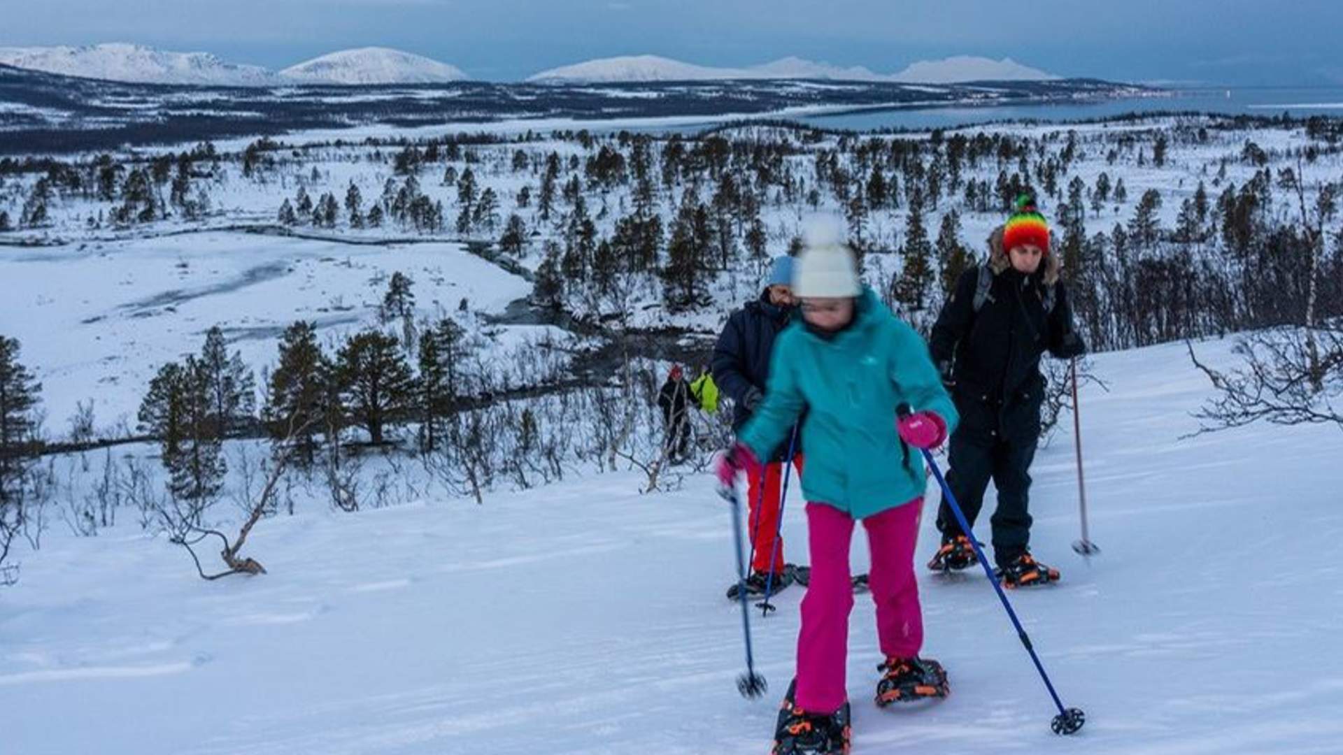 Snowshoe walk in Lyngen - Lyngen Safari