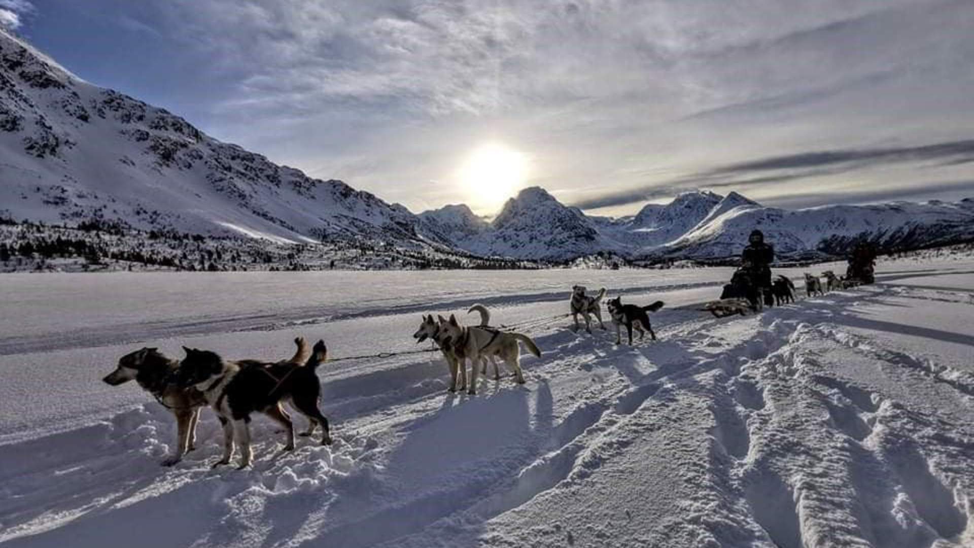 Lyngen Husky Safari