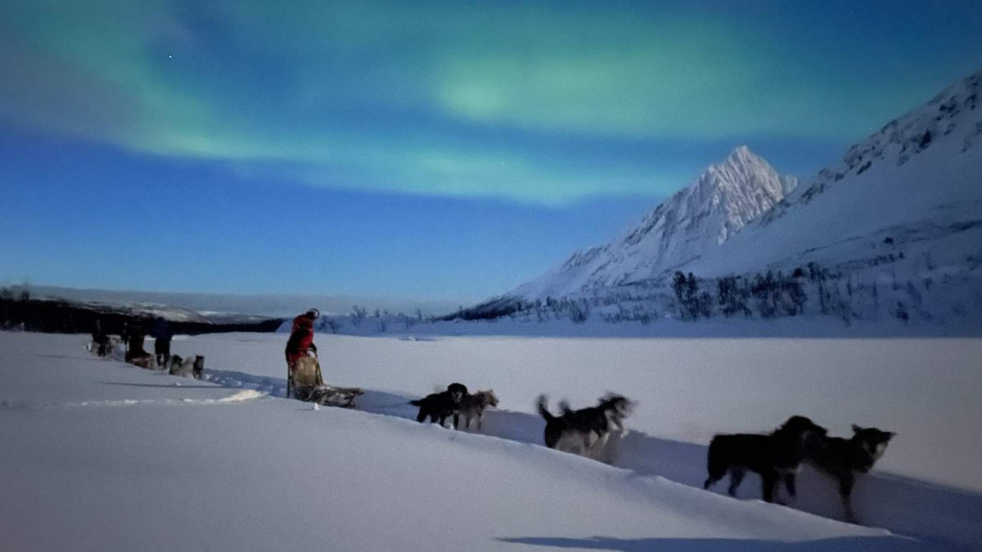 Lyngen Husky Safari