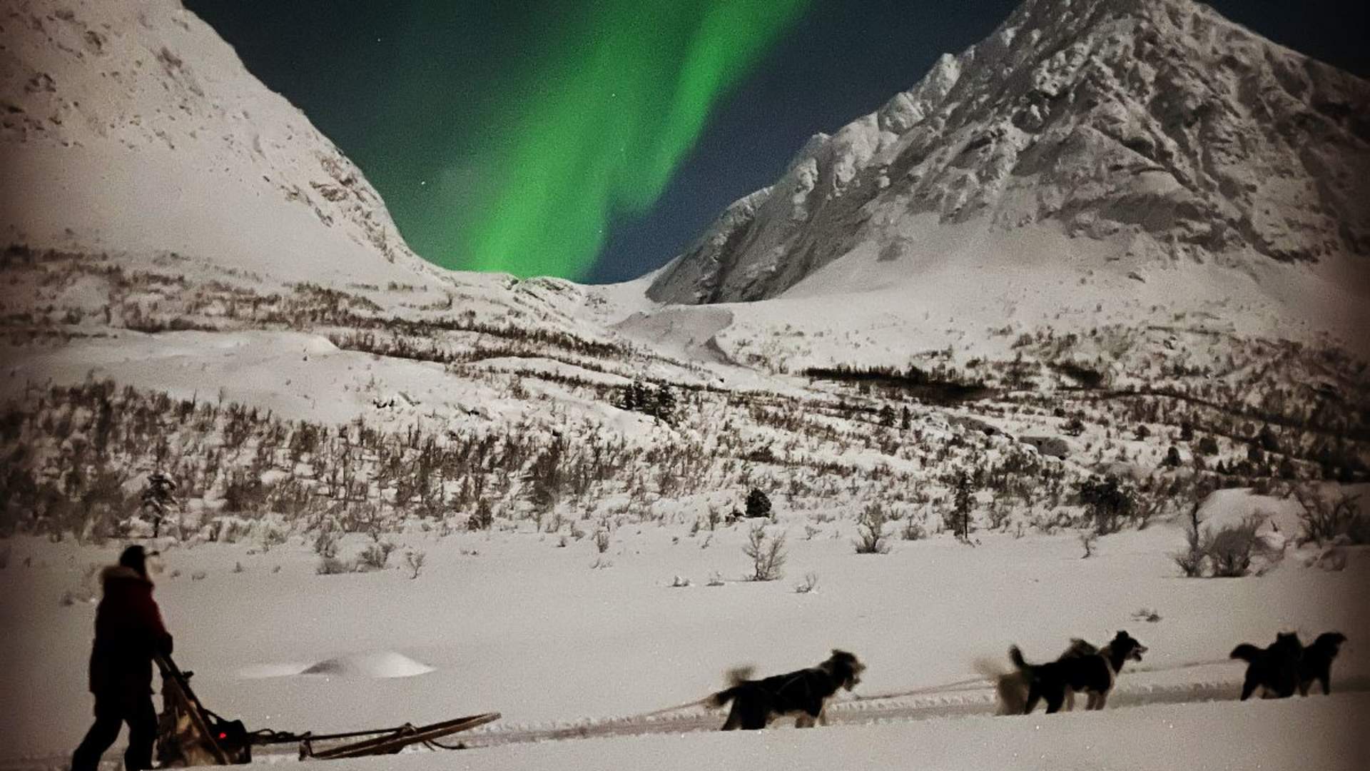 Lyngen Husky Safari