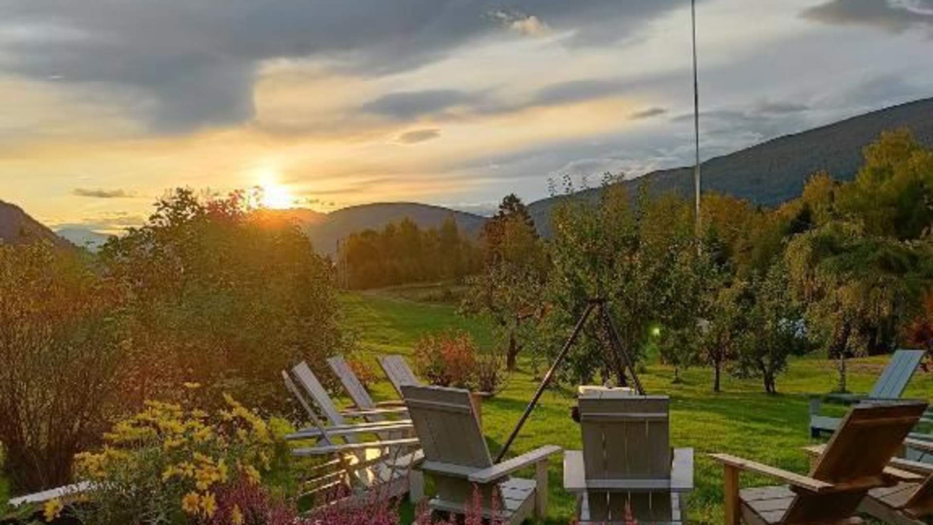 Orheimstunet