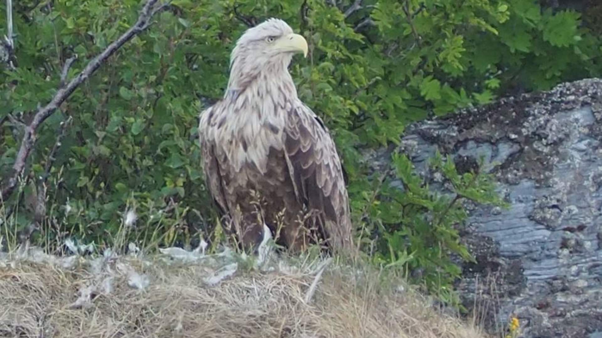 Birds- and wildlife tour - Explore 70 Degrees