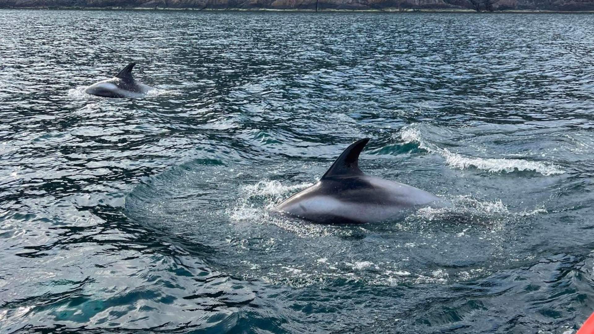 Birds- and wildlife tour - Explore 70 Degrees