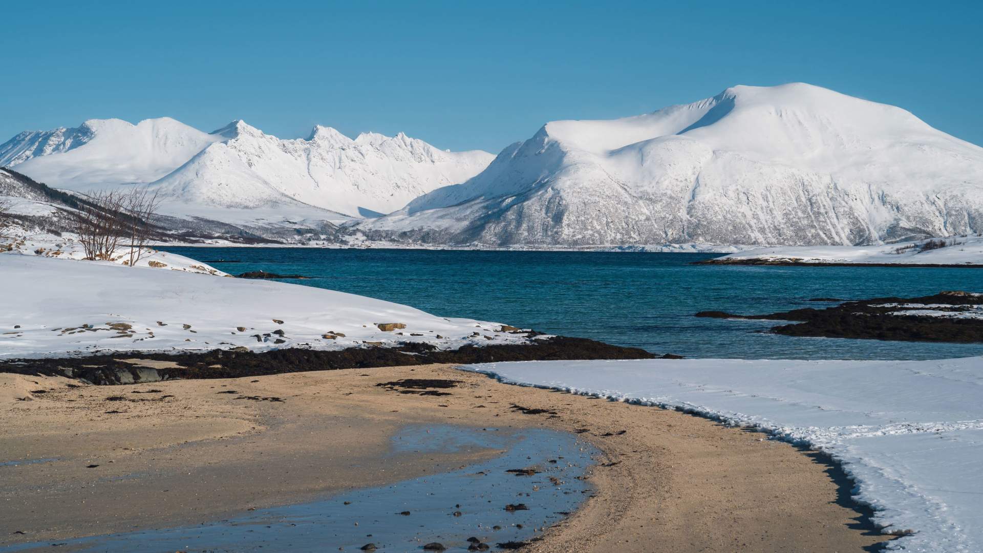 Fjord Photo Tour
