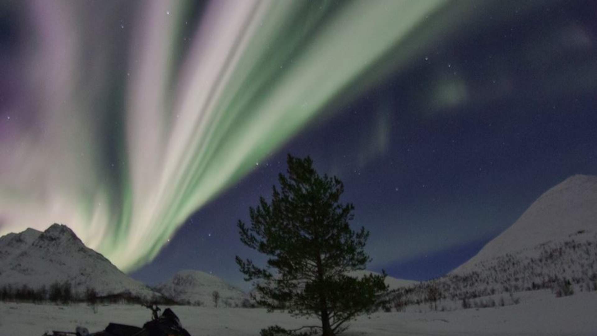 Snowmobile excursion into the wilderness - evening tour with North Experience