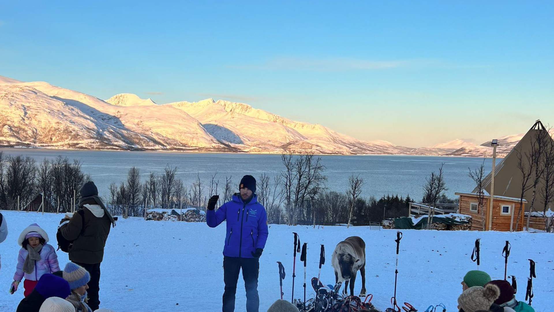 Snowshoeing with Reindeer