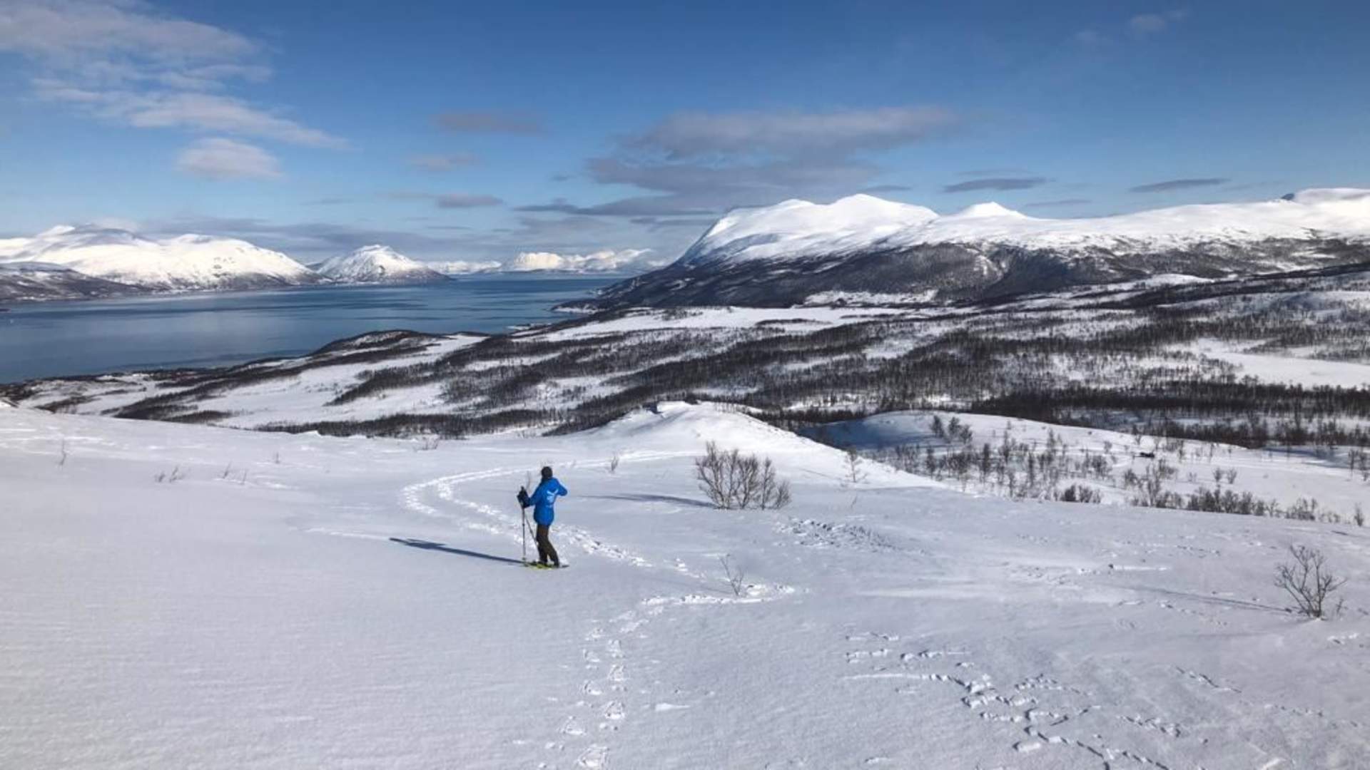 Snowshoeing with Reindeer