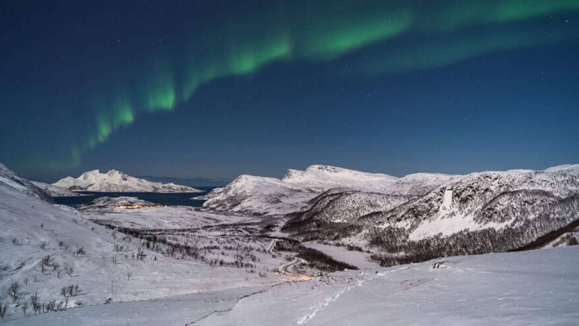 Nordlysjakt med buss