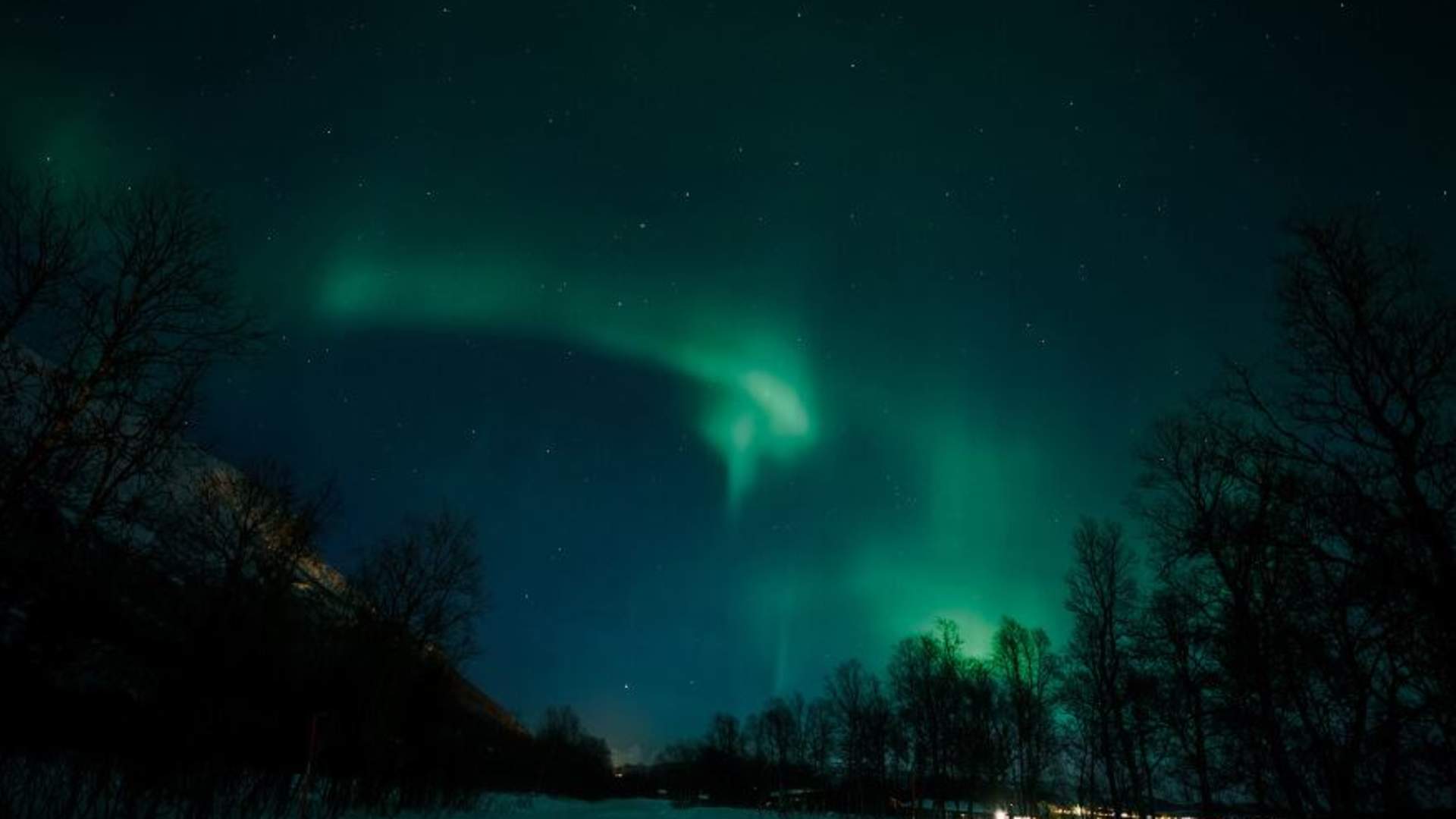 Nordlysjakt med buss